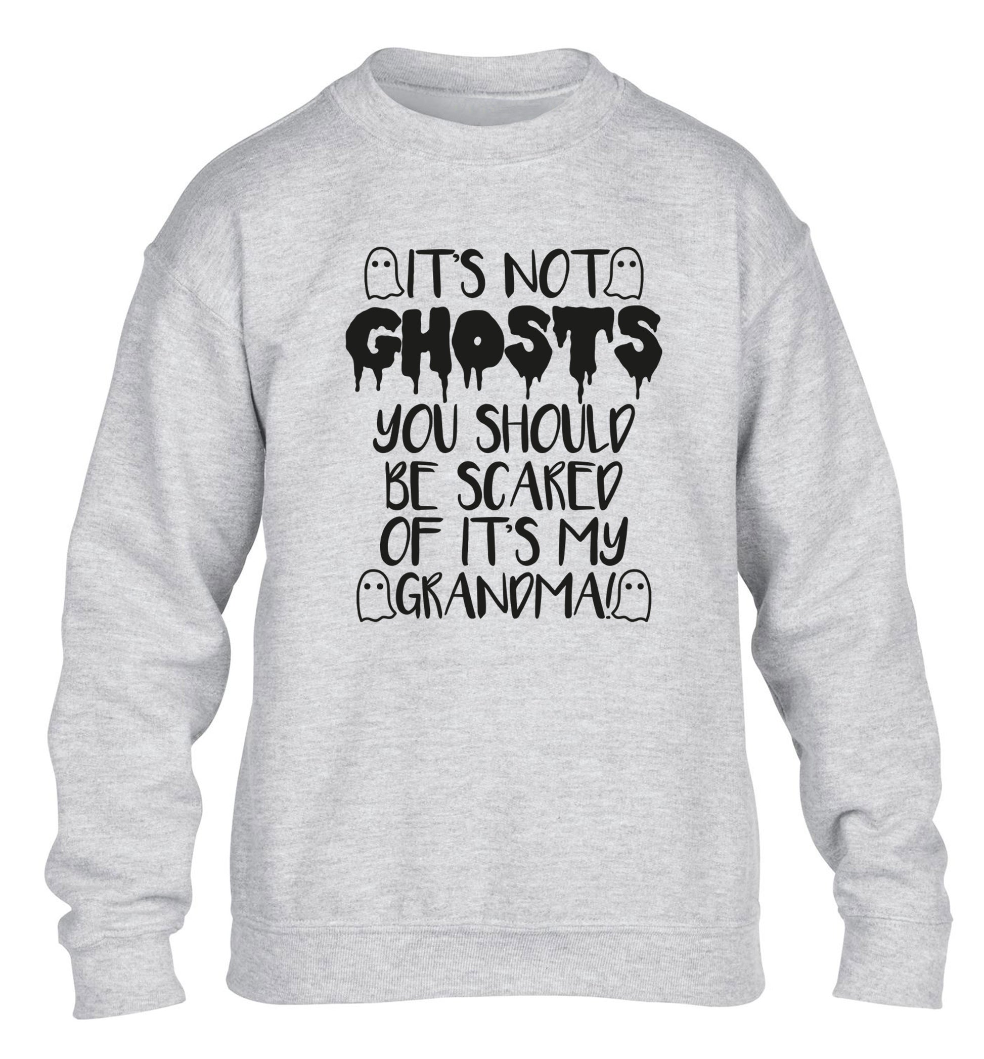 It's not ghosts you should be scared of it's my grandma! children's grey sweater 12-14 Years