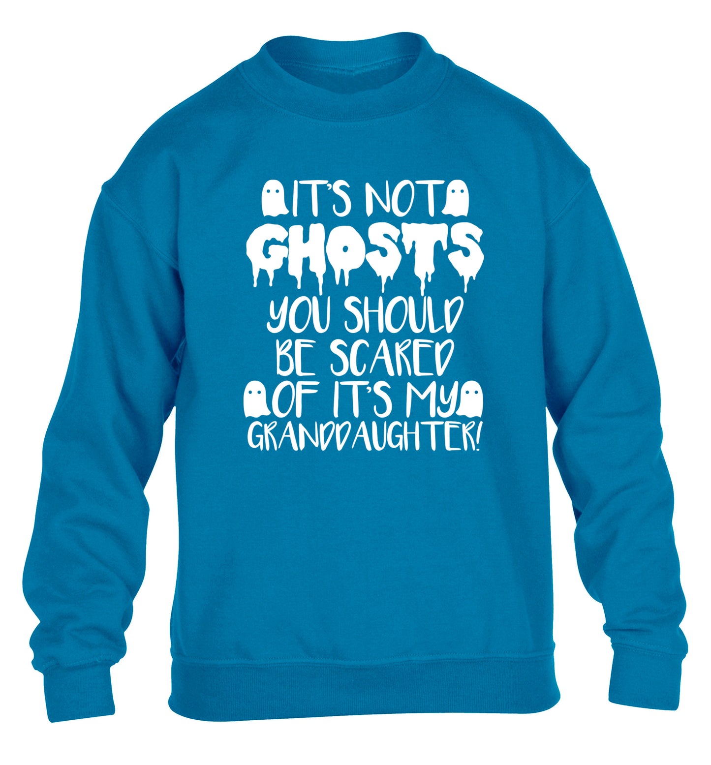It's not ghosts you should be scared of it's my granddaughter! children's blue sweater 12-14 Years