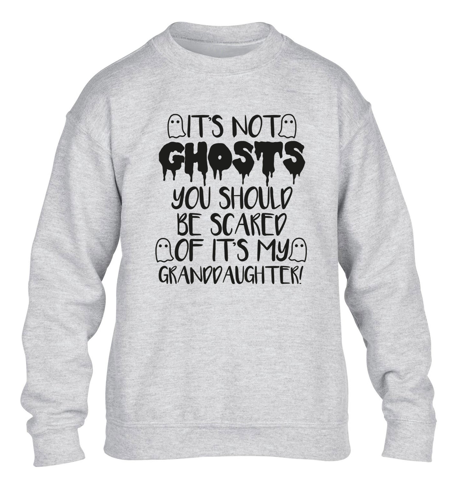 It's not ghosts you should be scared of it's my granddaughter! children's grey sweater 12-14 Years