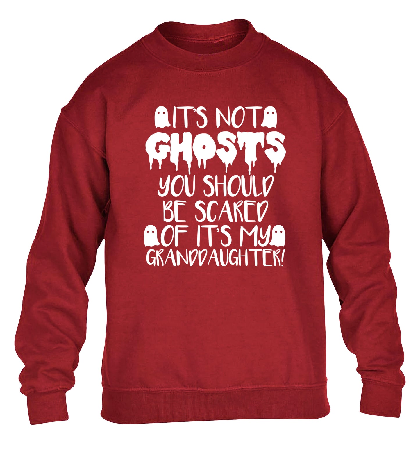 It's not ghosts you should be scared of it's my granddaughter! children's grey sweater 12-14 Years
