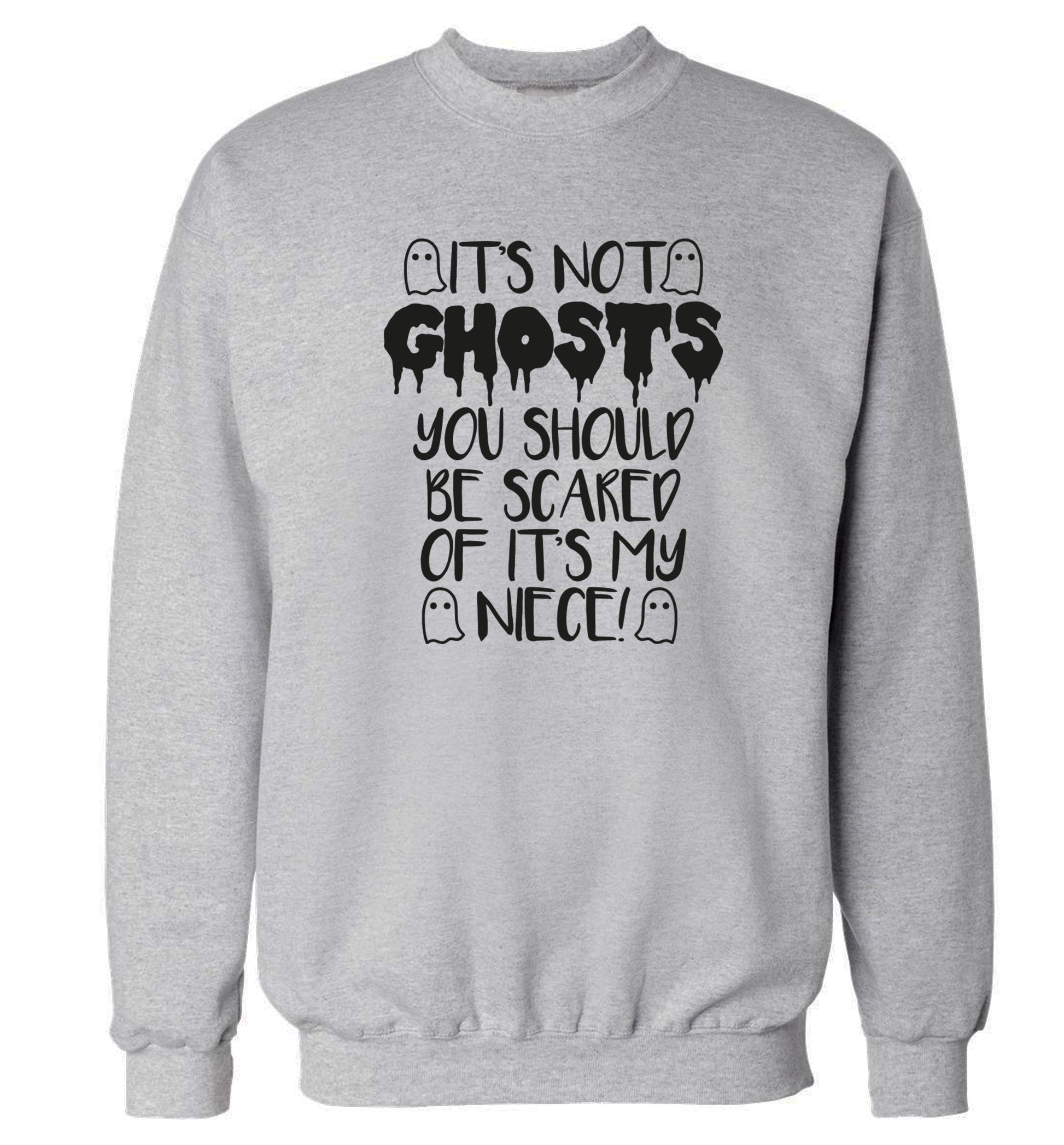 It's not ghosts you should be scared of it's my niece! Adult's unisex grey Sweater 2XL