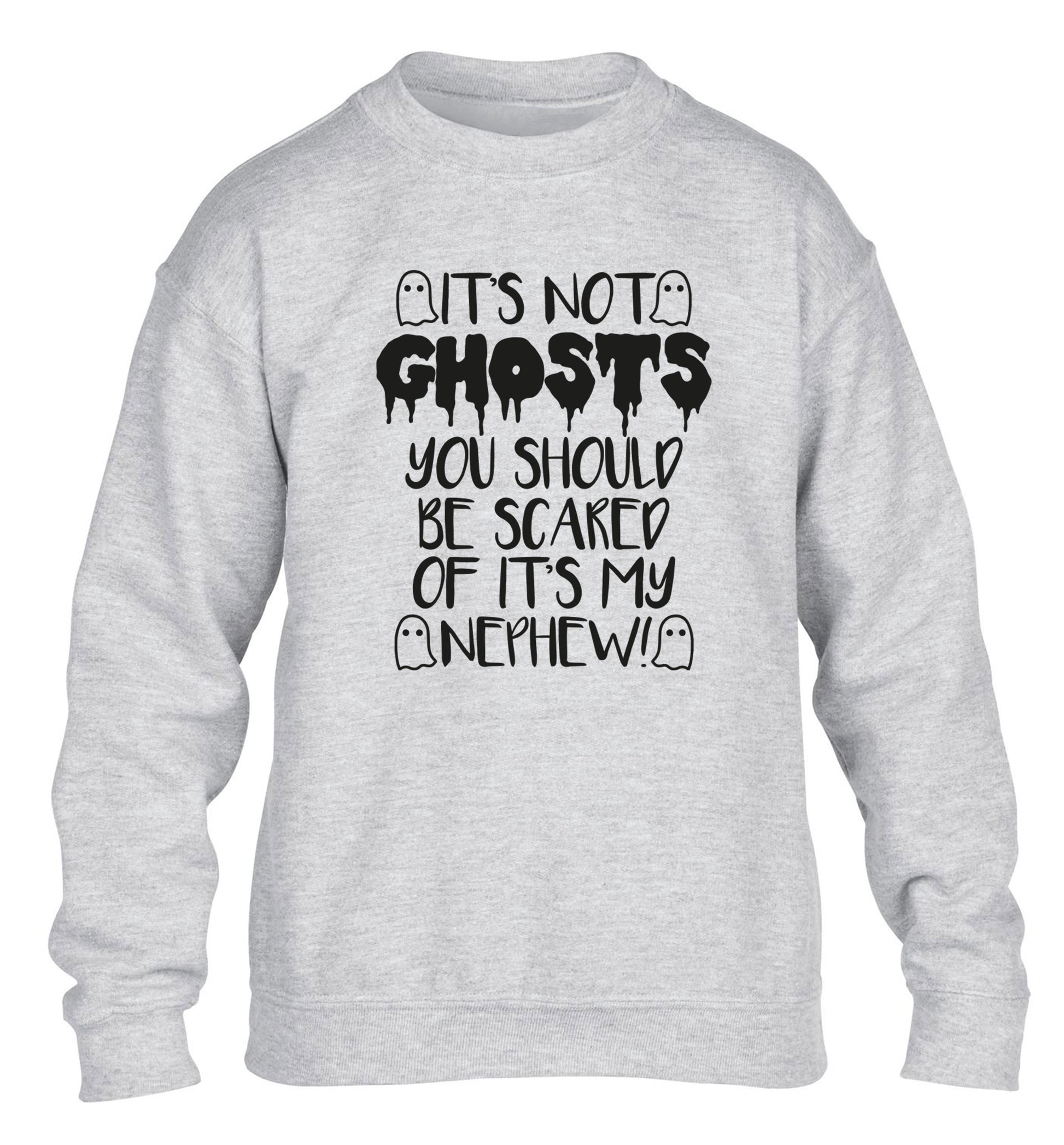 It's not ghosts you should be scared of it's my nephew! children's grey sweater 12-14 Years