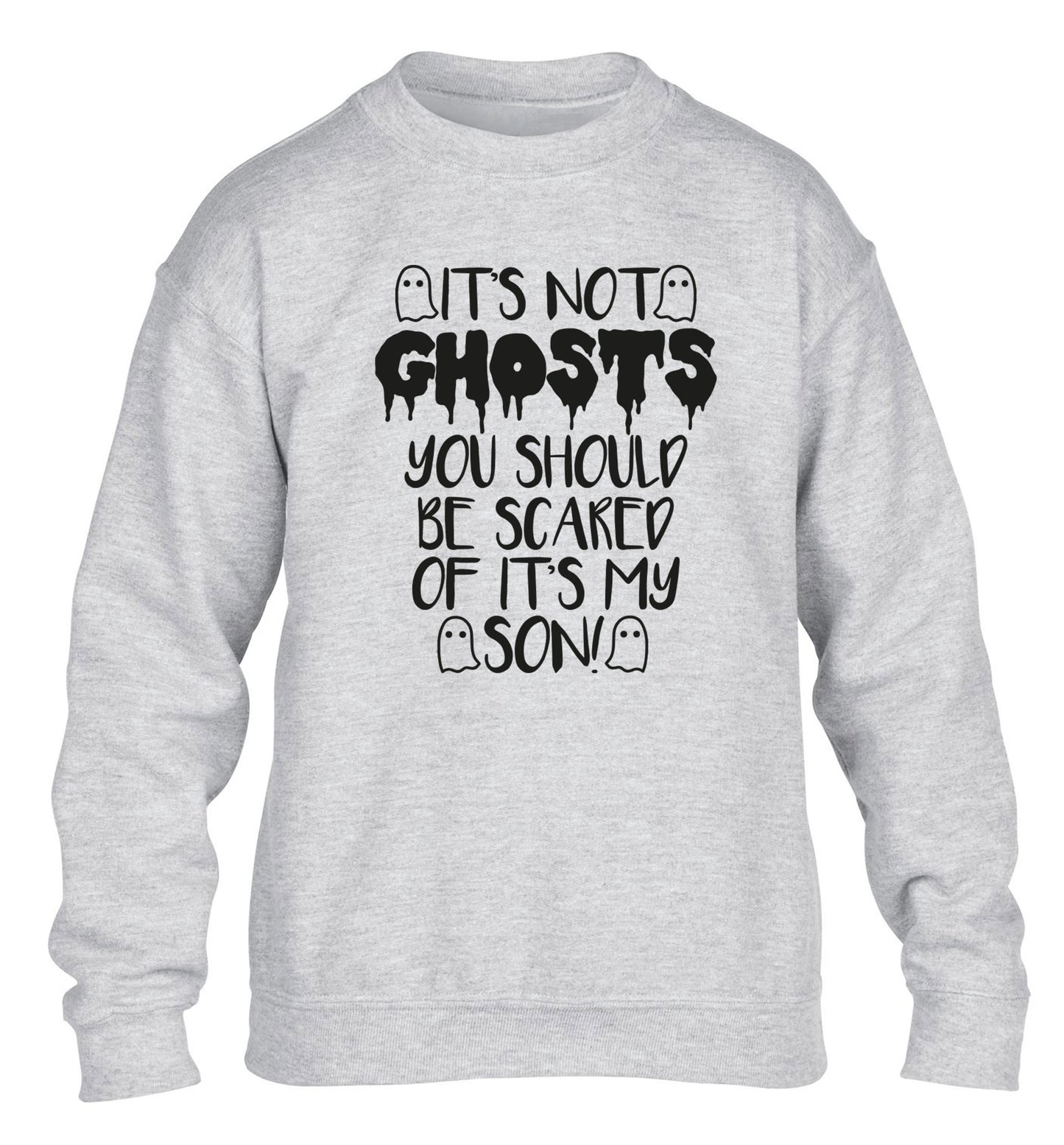 It's not ghosts you should be scared of it's my son! children's grey sweater 12-14 Years