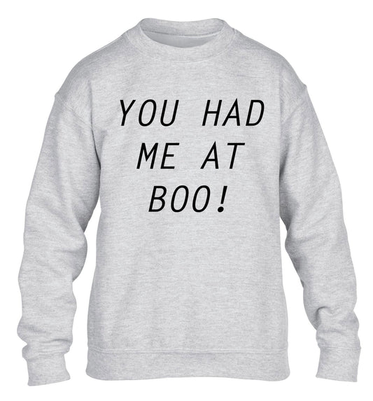 You had me at boo! children's grey sweater 12-14 Years