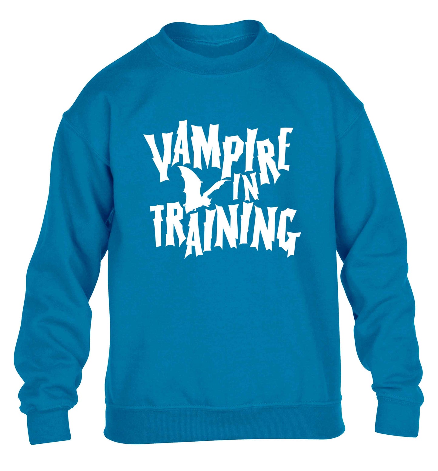 Vampire in training children's blue sweater 12-13 Years