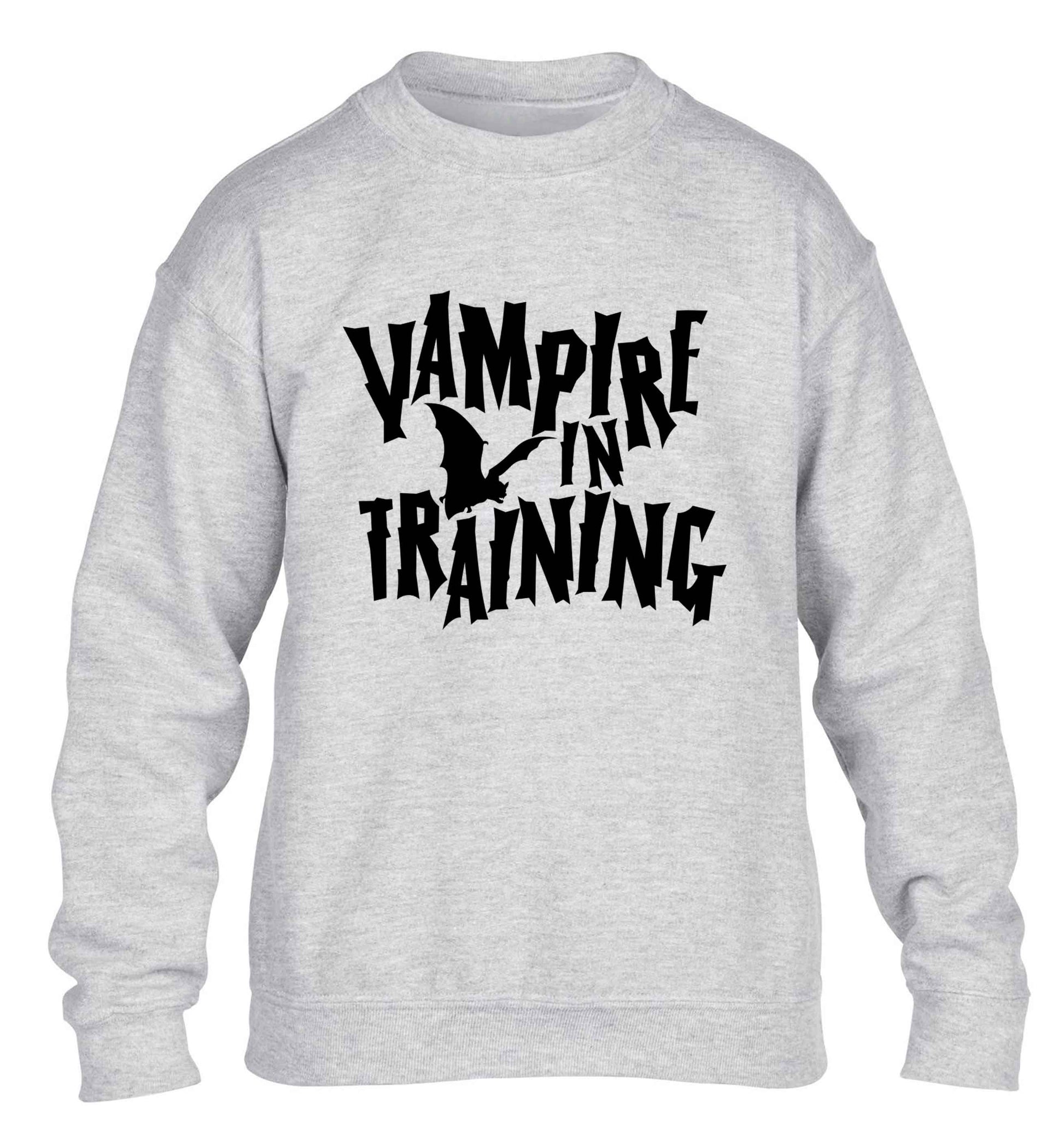 Vampire in training children's grey sweater 12-13 Years