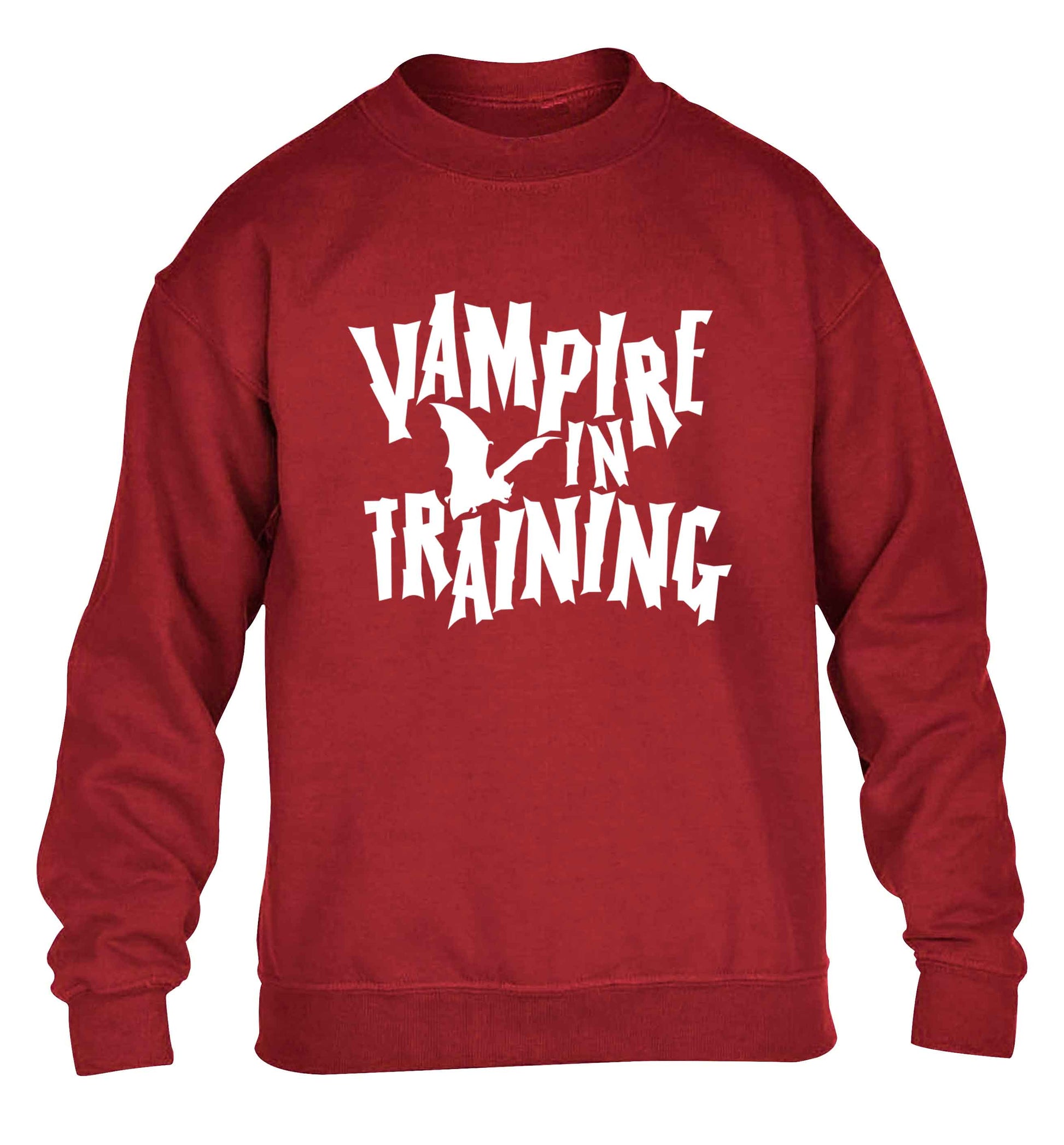 Vampire in training children's grey sweater 12-13 Years
