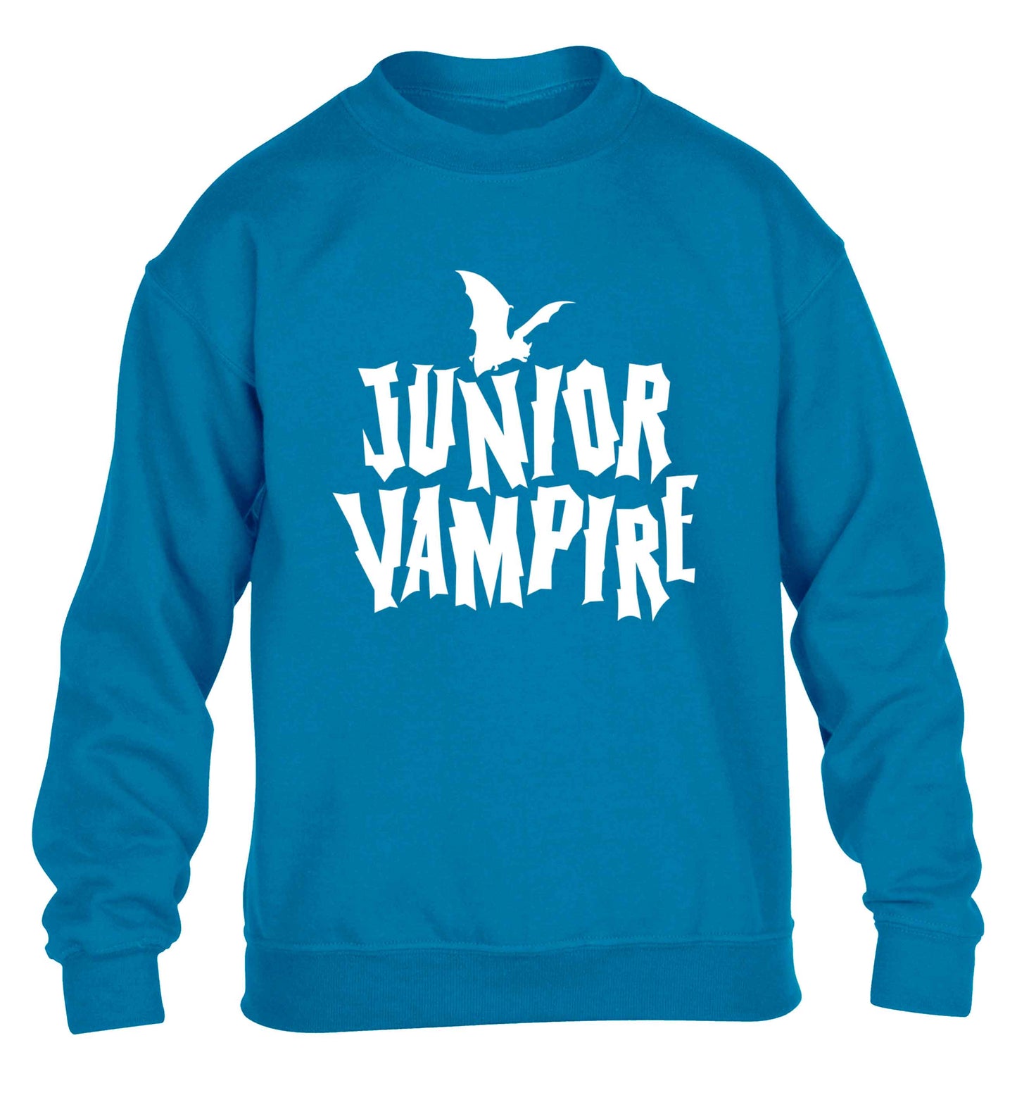 Junior vampire children's blue sweater 12-13 Years