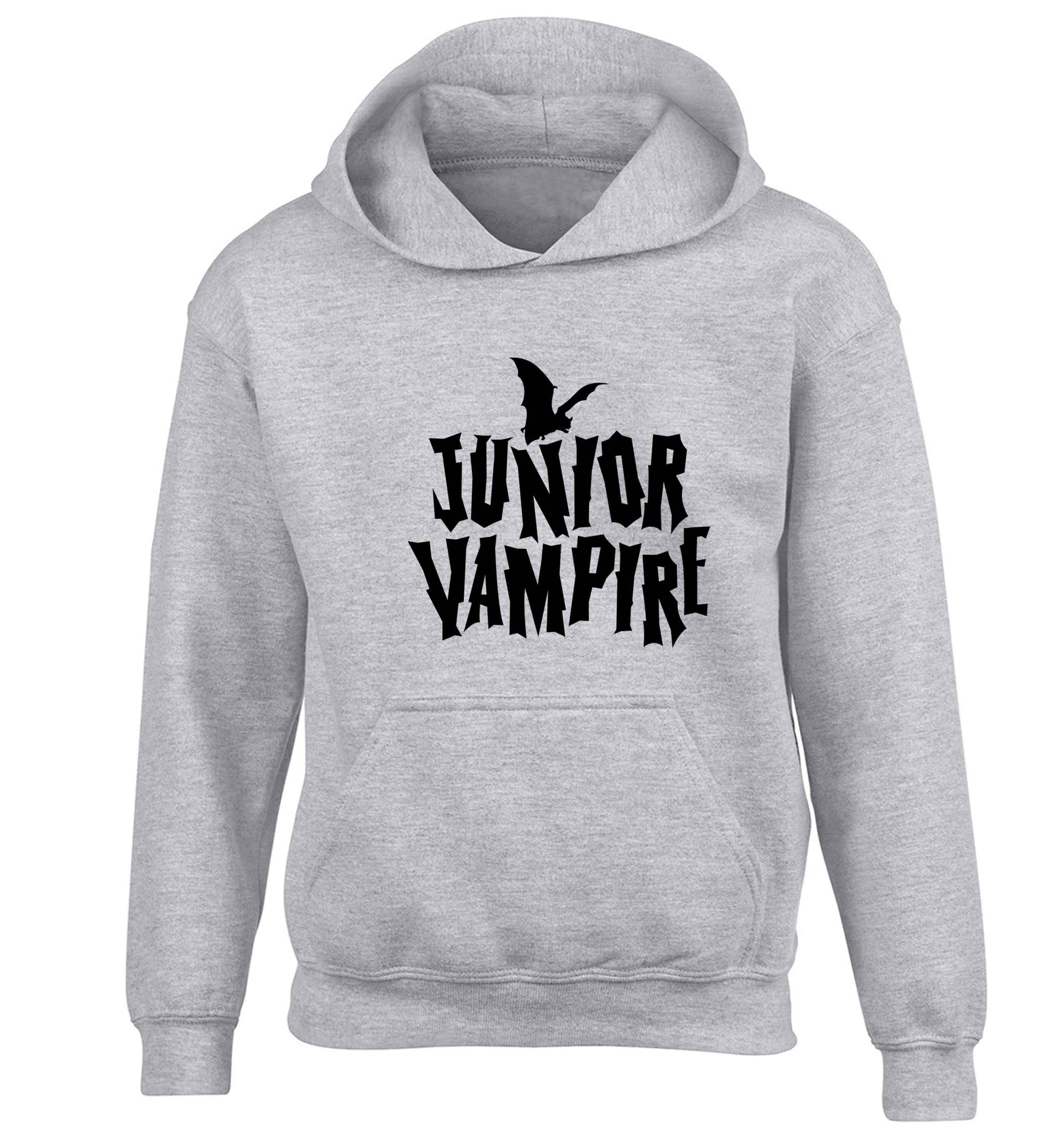 Junior vampire children's grey hoodie 12-13 Years