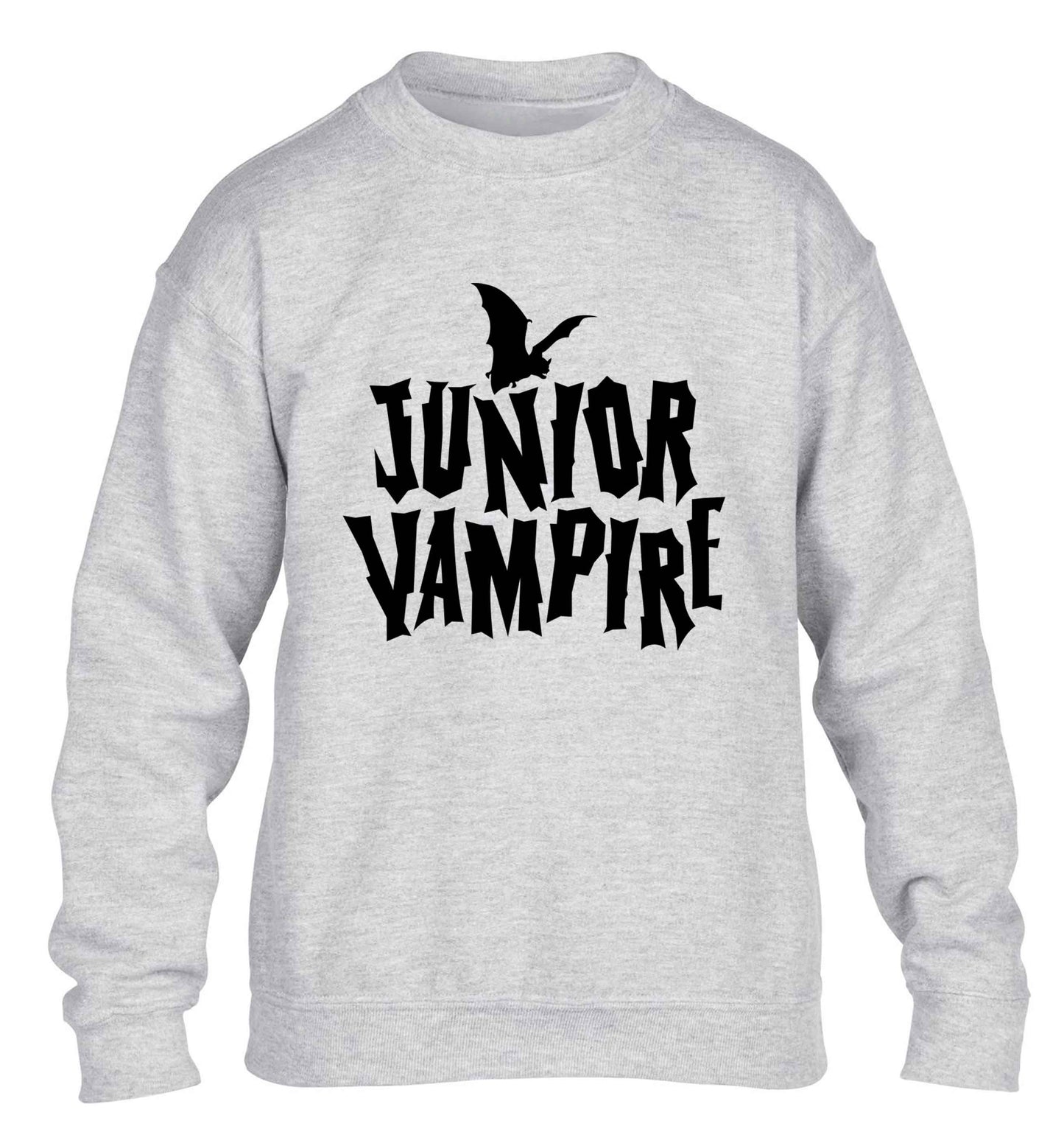 Junior vampire children's grey sweater 12-13 Years