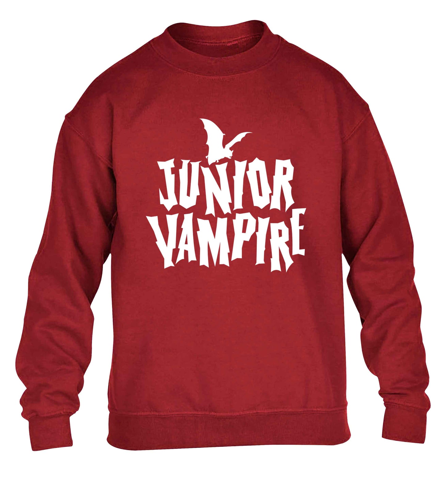 Junior vampire children's grey sweater 12-13 Years