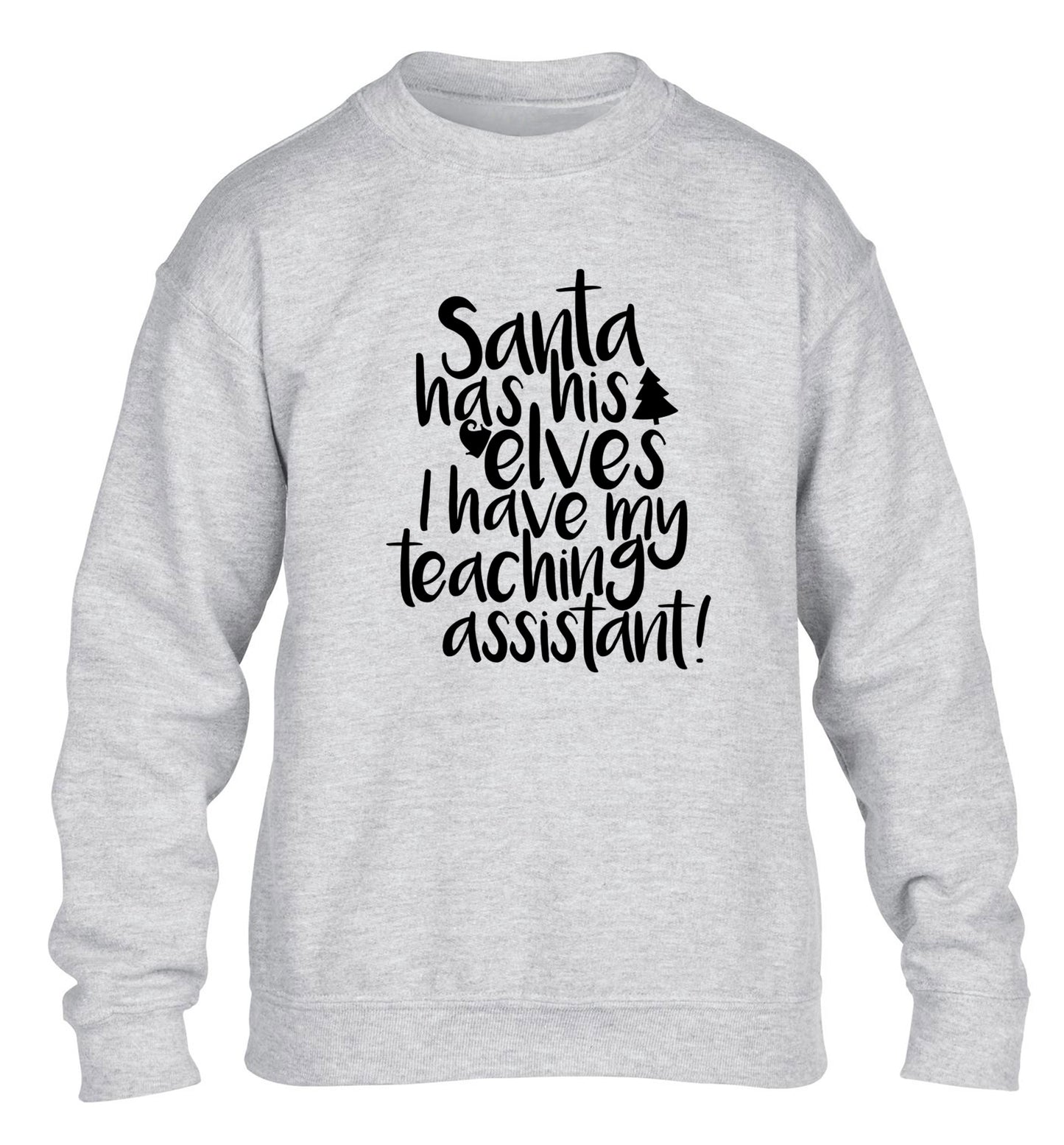 Santa has his elves I have my teaching assistant children's grey sweater 12-14 Years