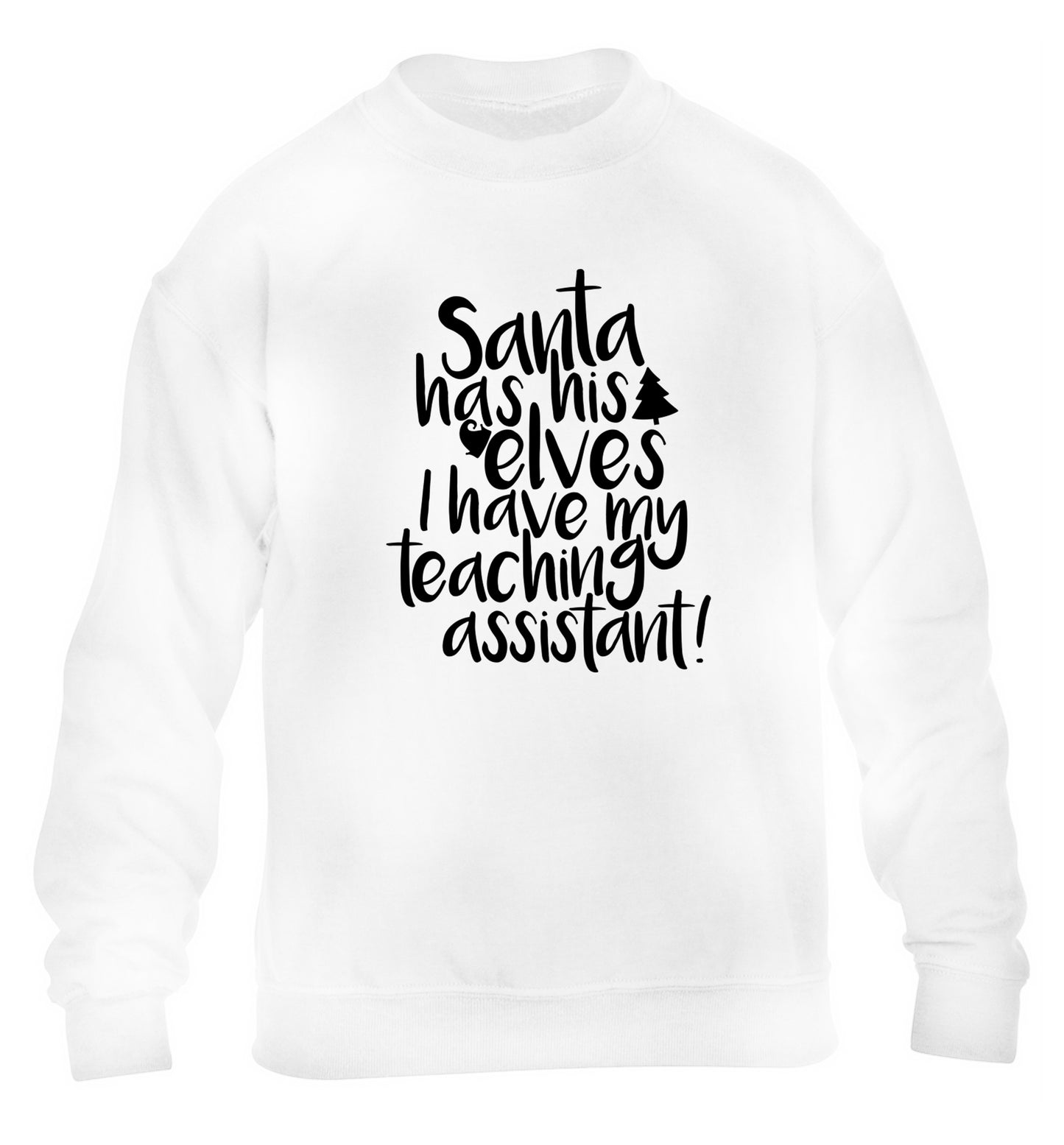 Santa has his elves I have my teaching assistant children's white sweater 12-14 Years