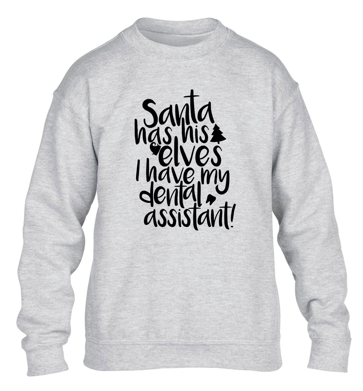 Santa has his elves I have my dental assistant children's grey sweater 12-14 Years