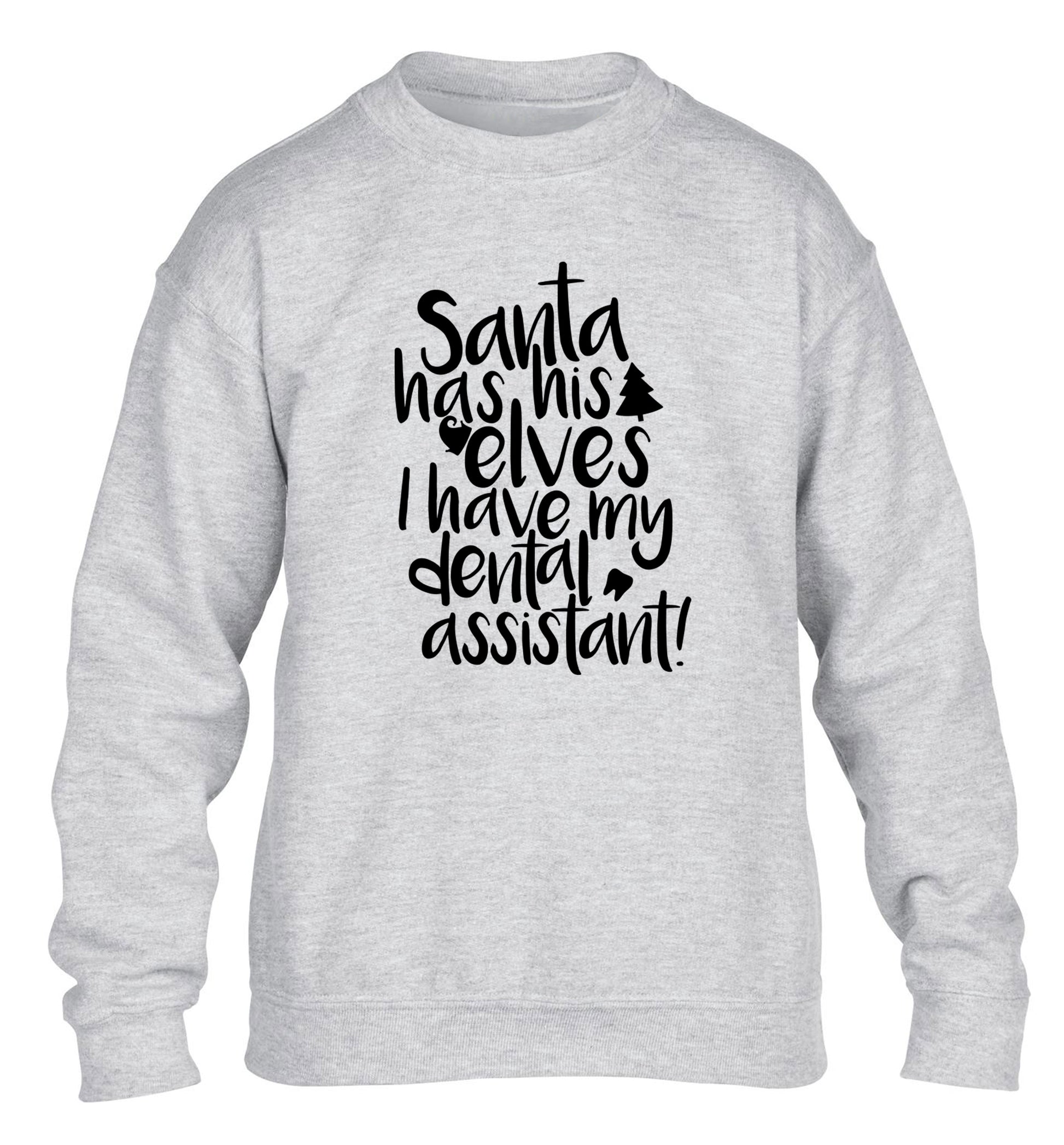 Santa has his elves I have my dental assistant children's grey sweater 12-14 Years