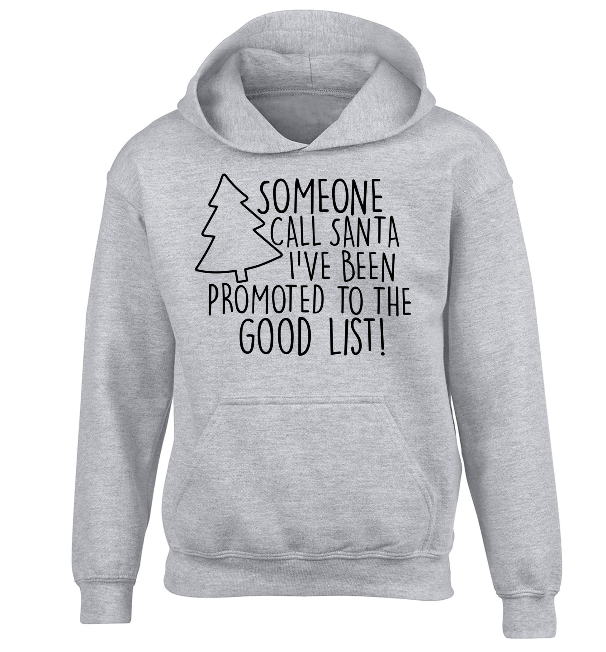 Someone call santa I've been promoted to the good list! children's grey hoodie 12-14 Years