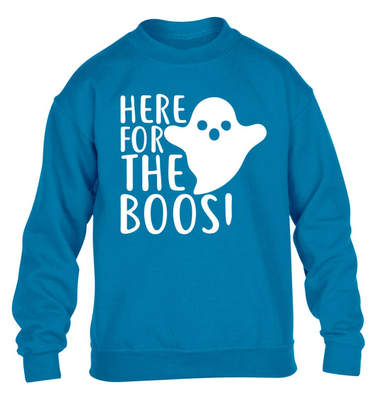 Here for the boos children's blue sweater 12-14 Years