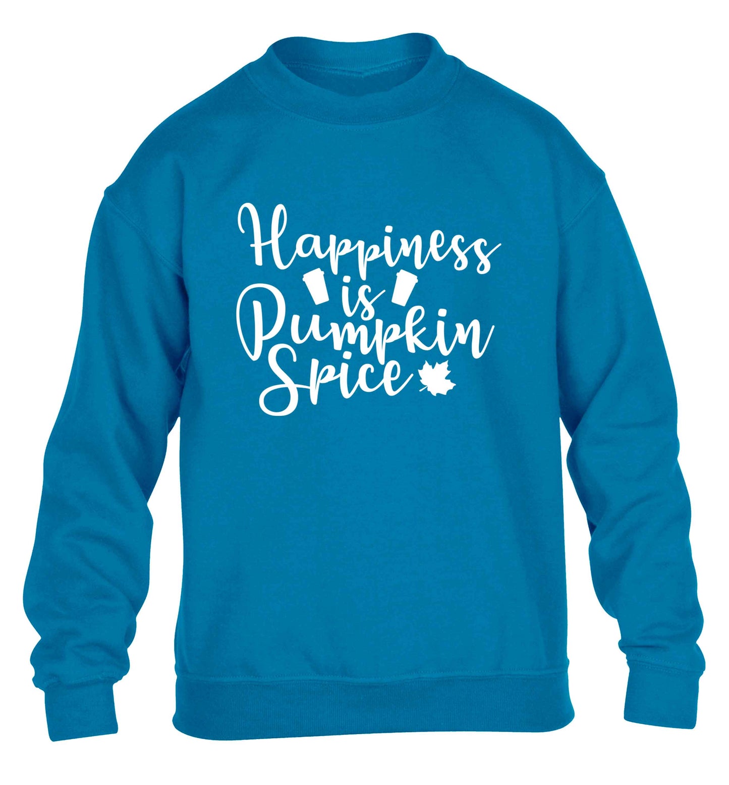 Happiness Pumpkin Spice children's blue sweater 12-13 Years