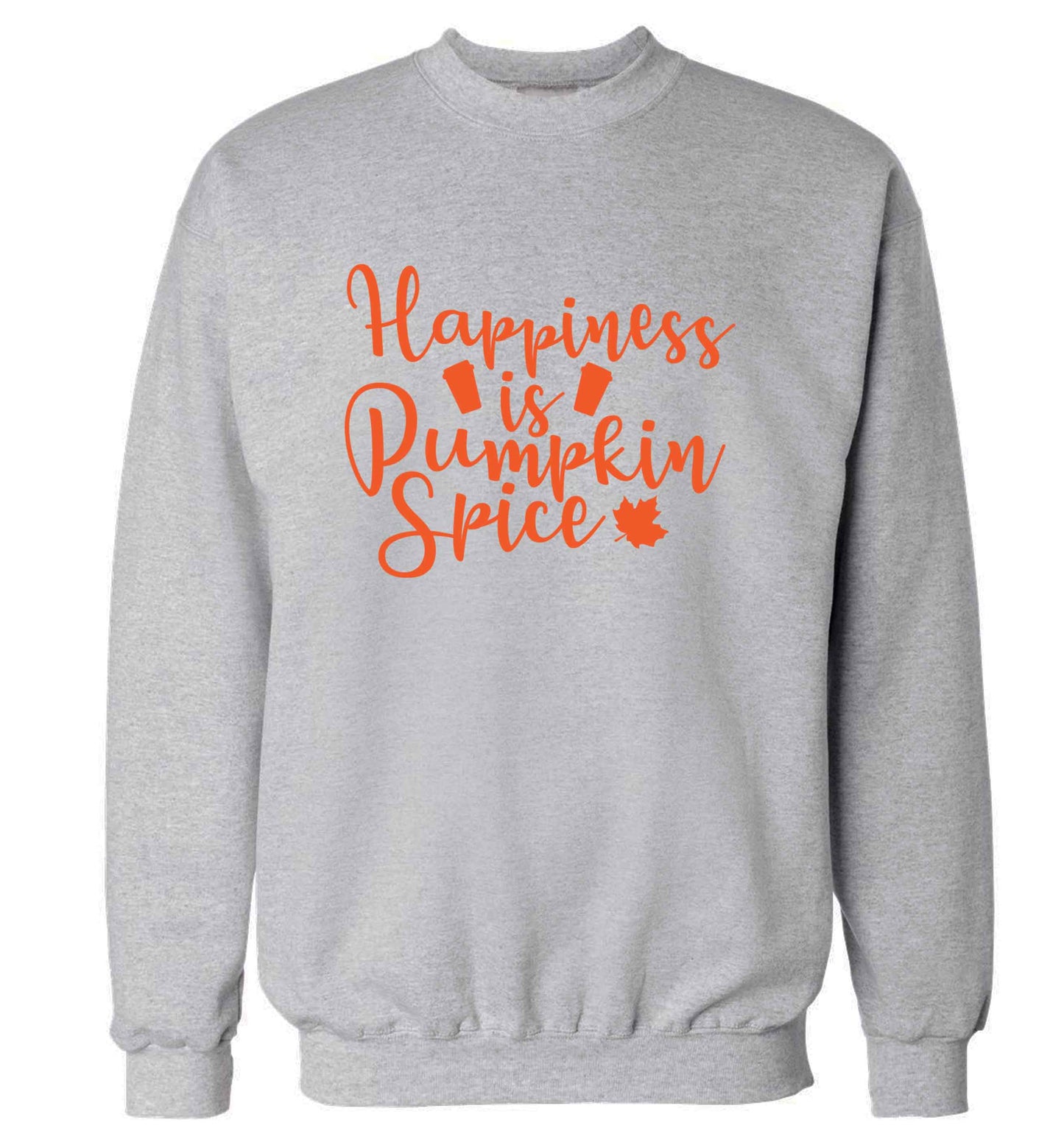 Happiness Pumpkin Spice adult's unisex grey sweater 2XL