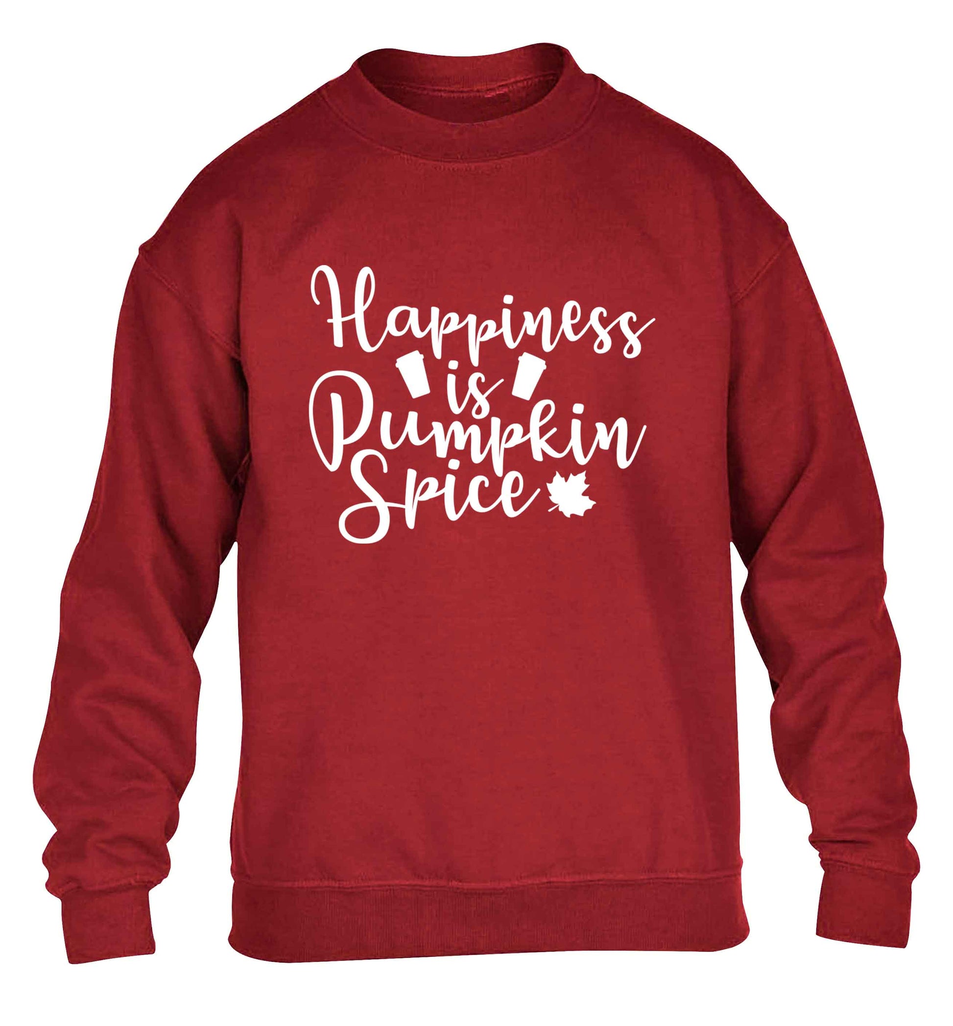 Happiness Pumpkin Spice children's grey sweater 12-13 Years