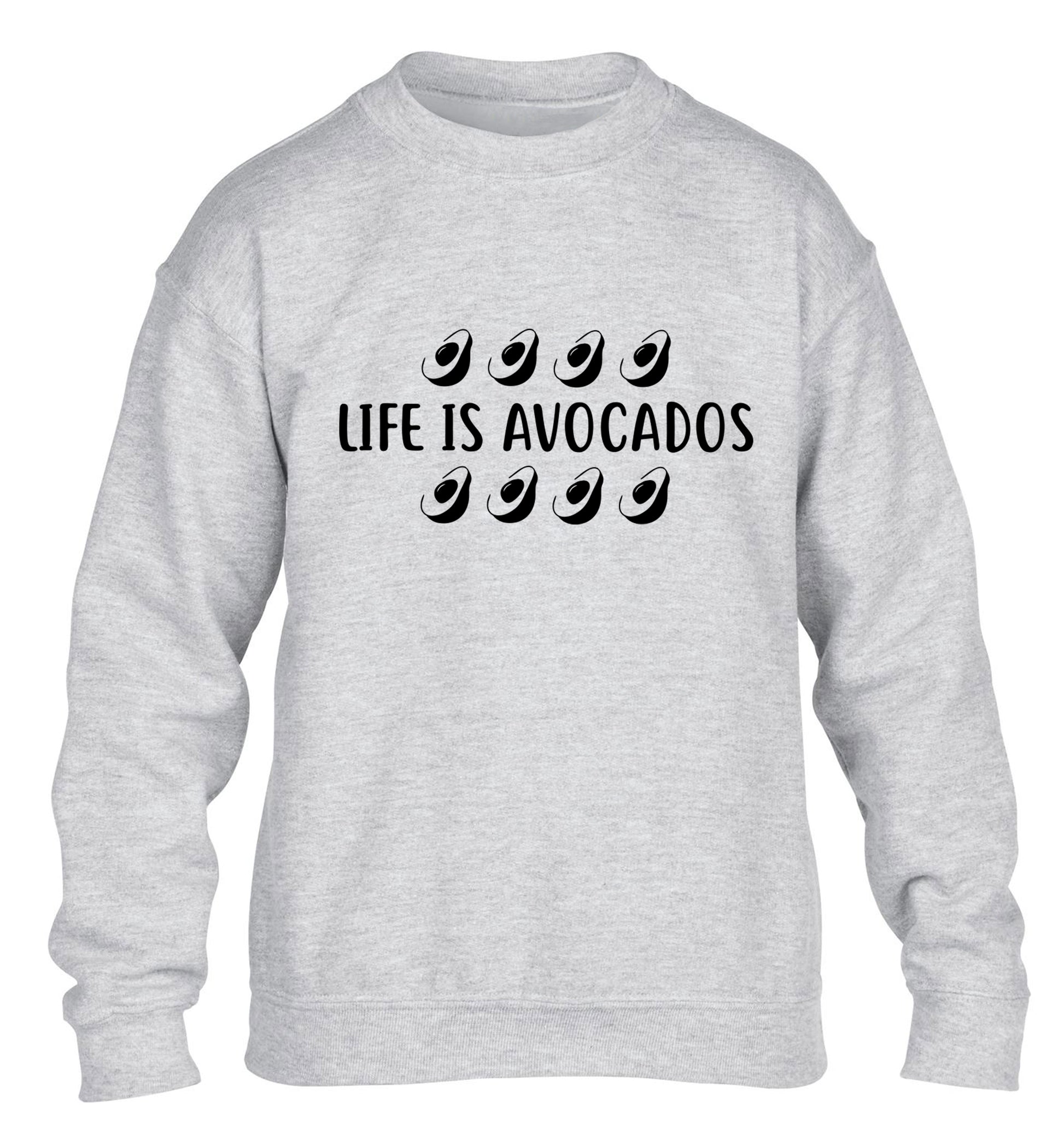 Life is avocados children's grey sweater 12-14 Years