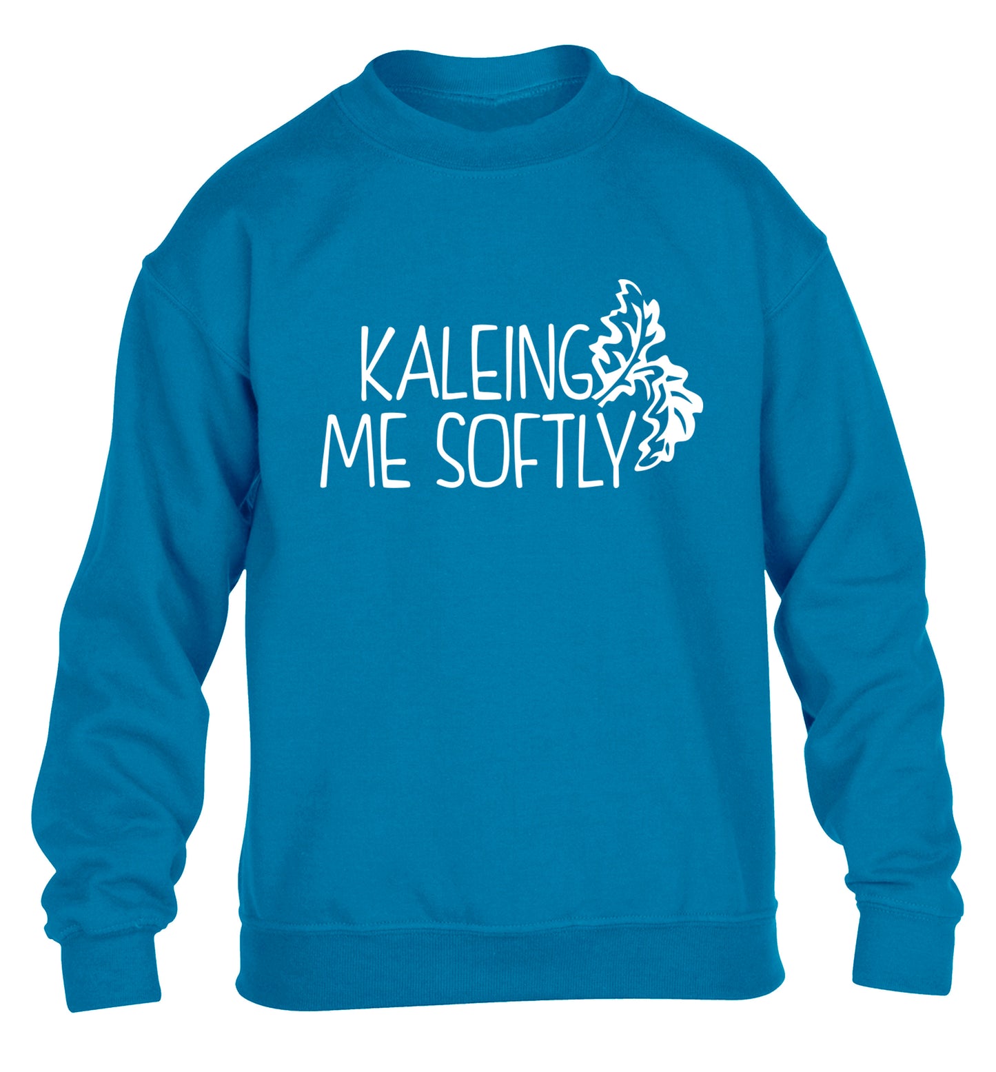 Kaleing me softly children's blue sweater 12-14 Years