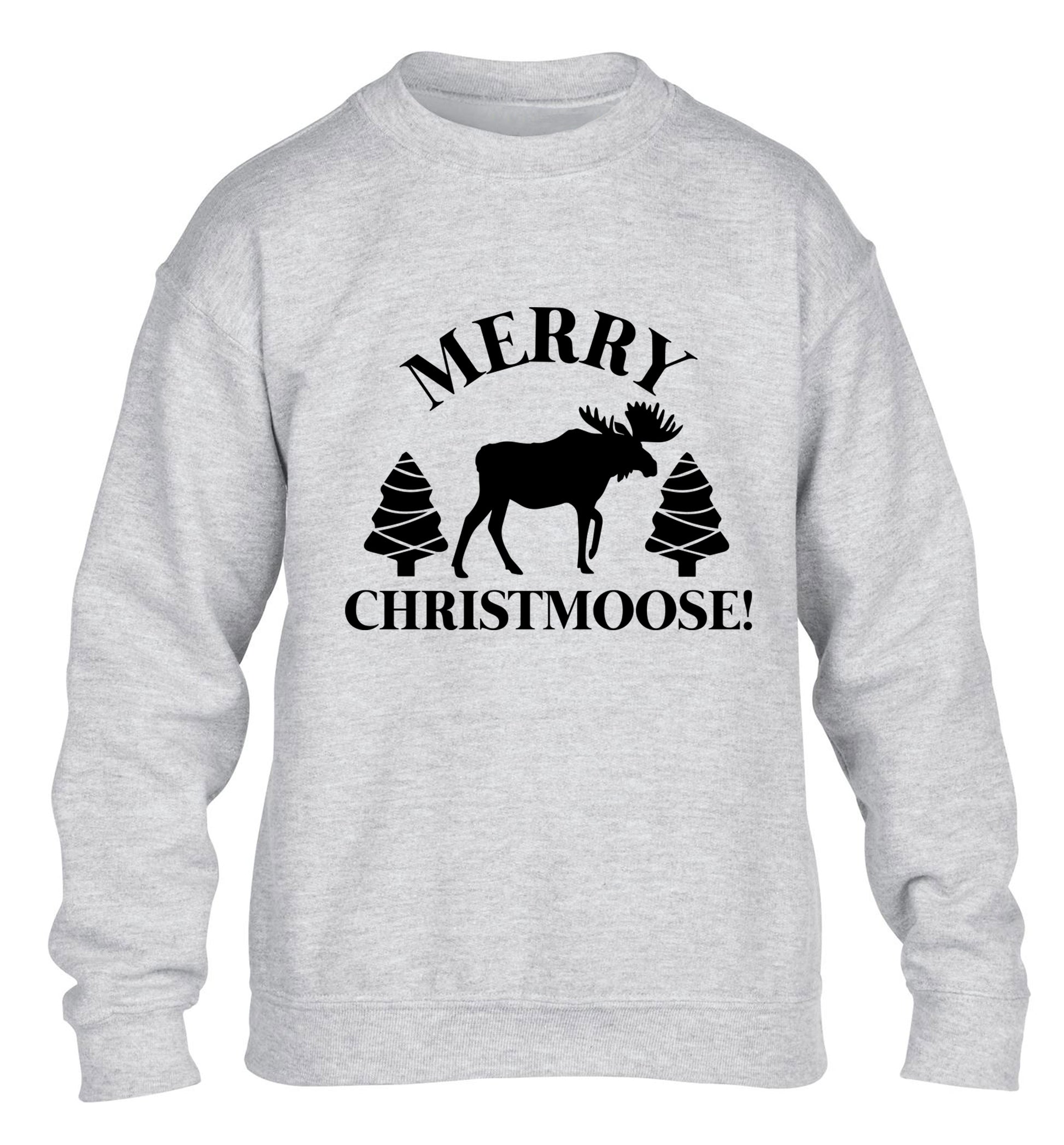 Merry Christmoose children's grey sweater 12-14 Years