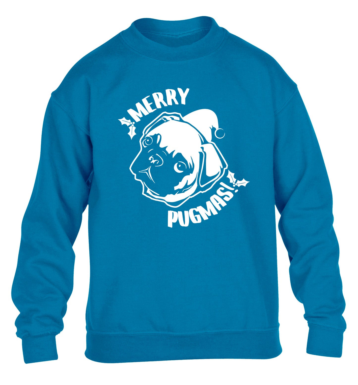 Merry Pugmas children's blue sweater 12-14 Years