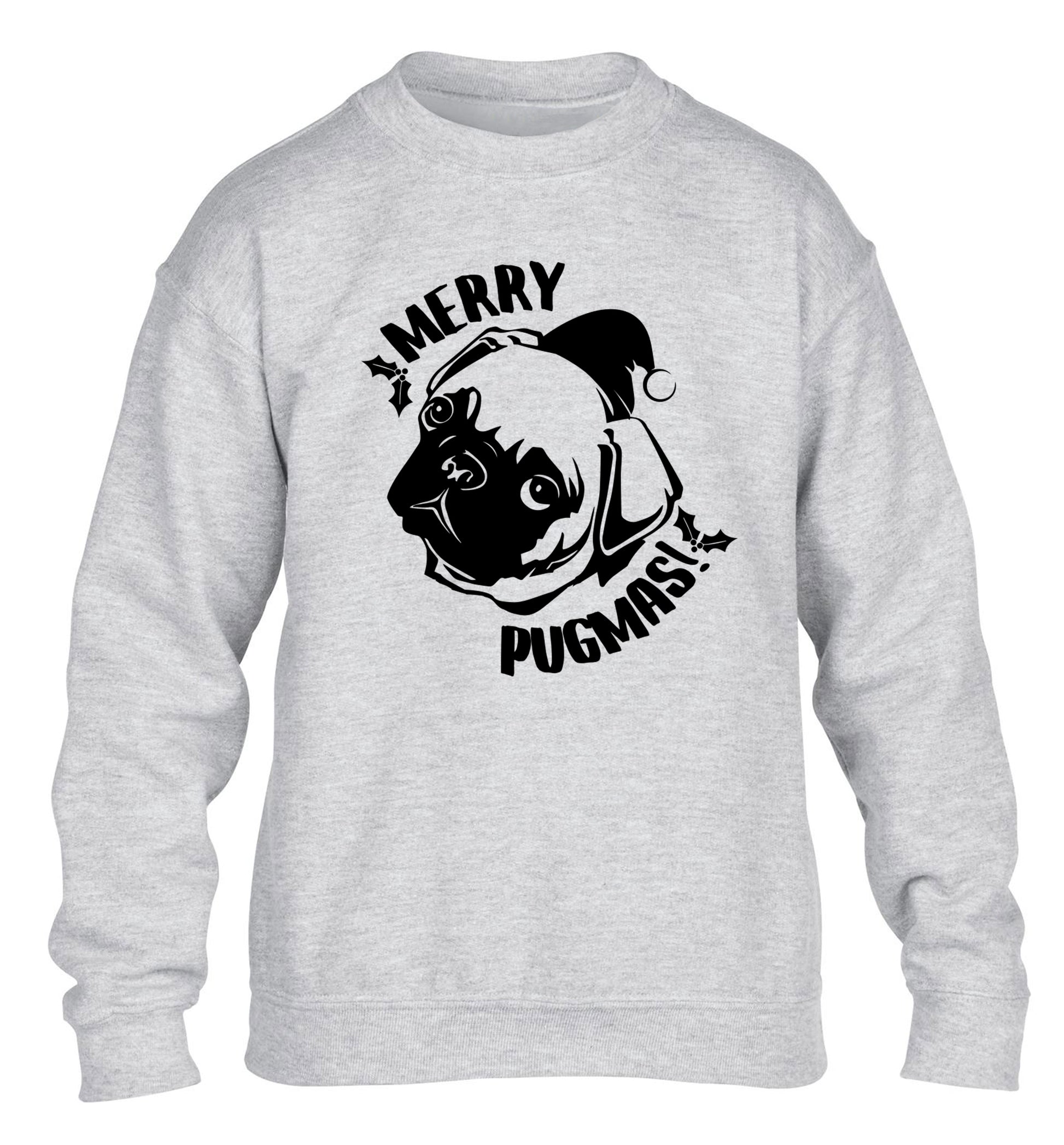 Merry Pugmas children's grey sweater 12-14 Years