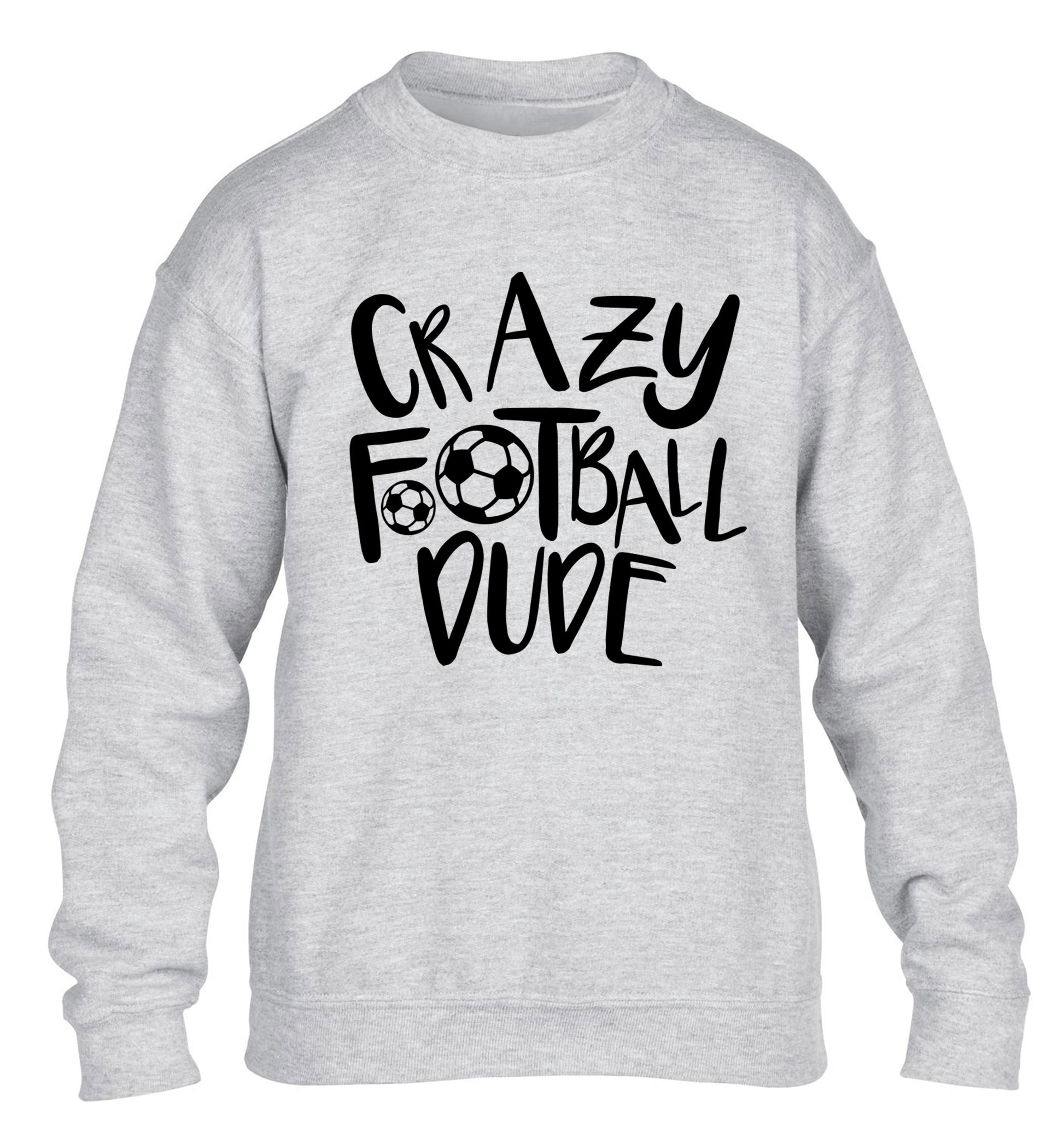 Crazy football dude children's grey sweater 12-14 Years