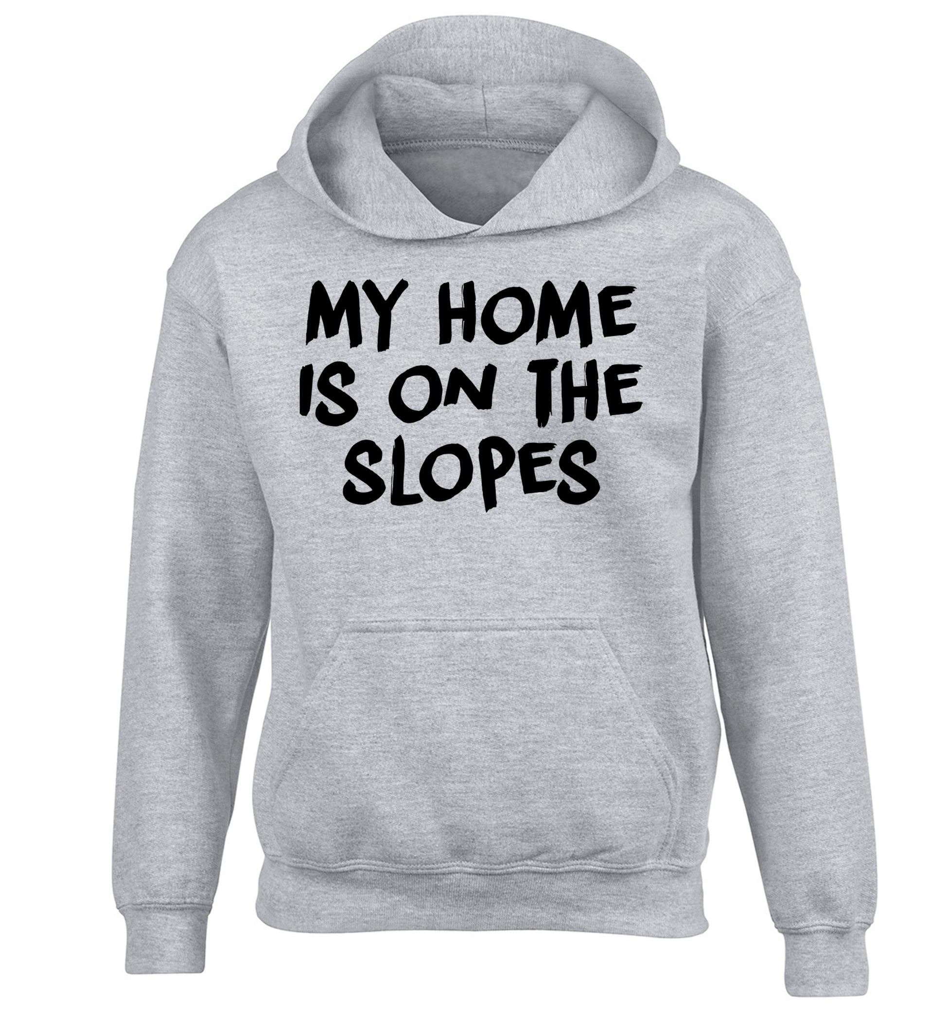 My home is on the slopes children's grey hoodie 12-14 Years