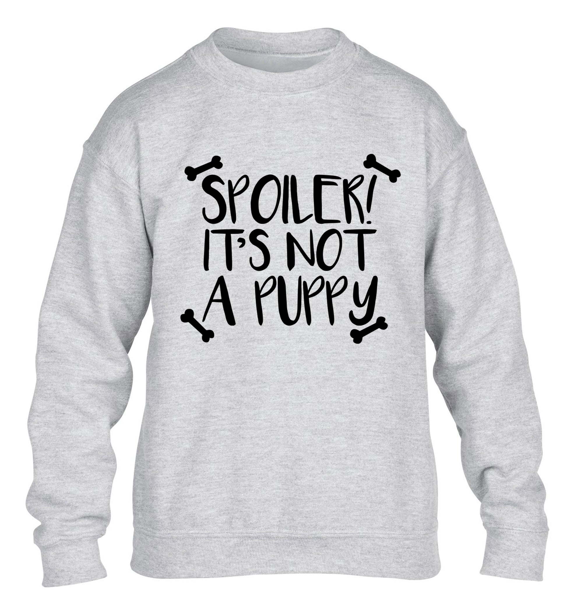 Spoiler it's not a puppy children's grey sweater 12-13 Years