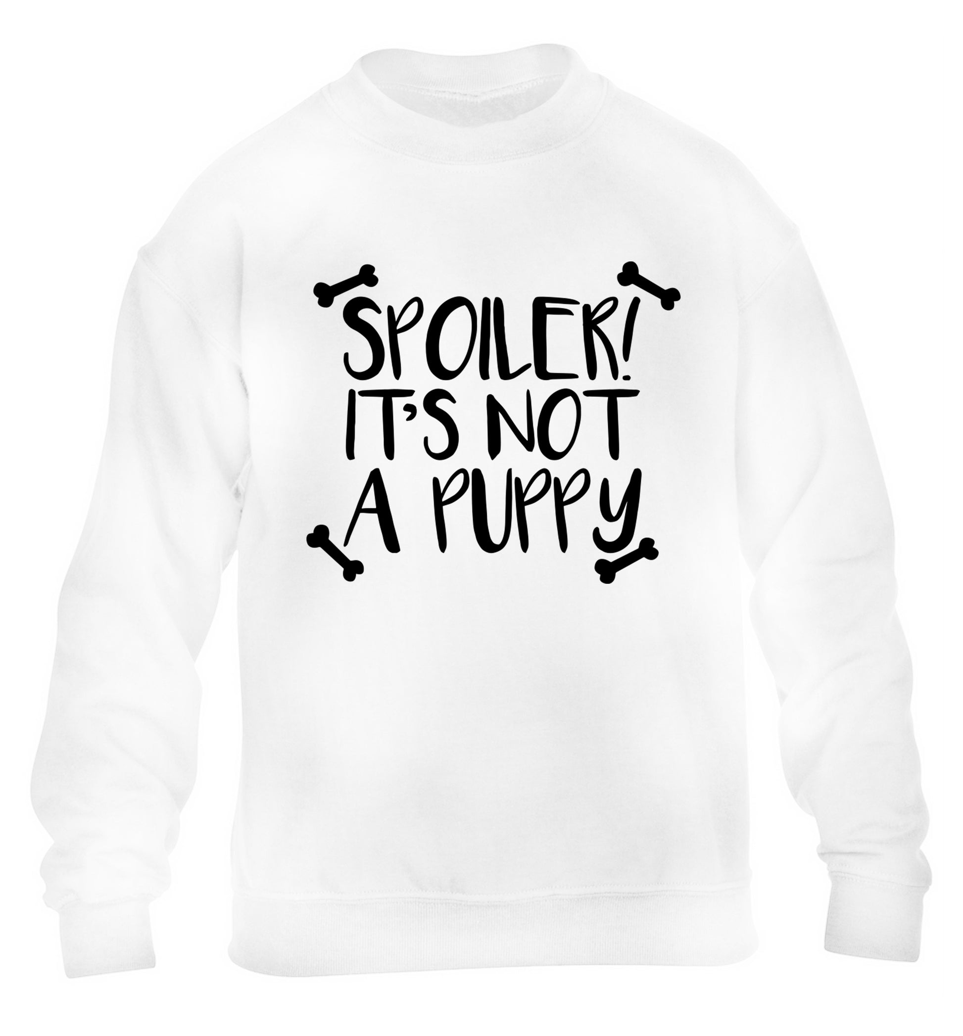Spoiler it's not a puppy children's white sweater 12-13 Years