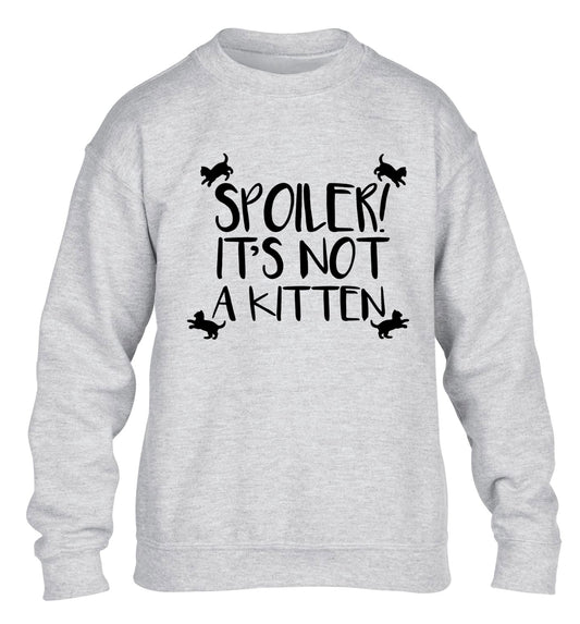 Spoiler it's not a kitten children's grey sweater 12-13 Years