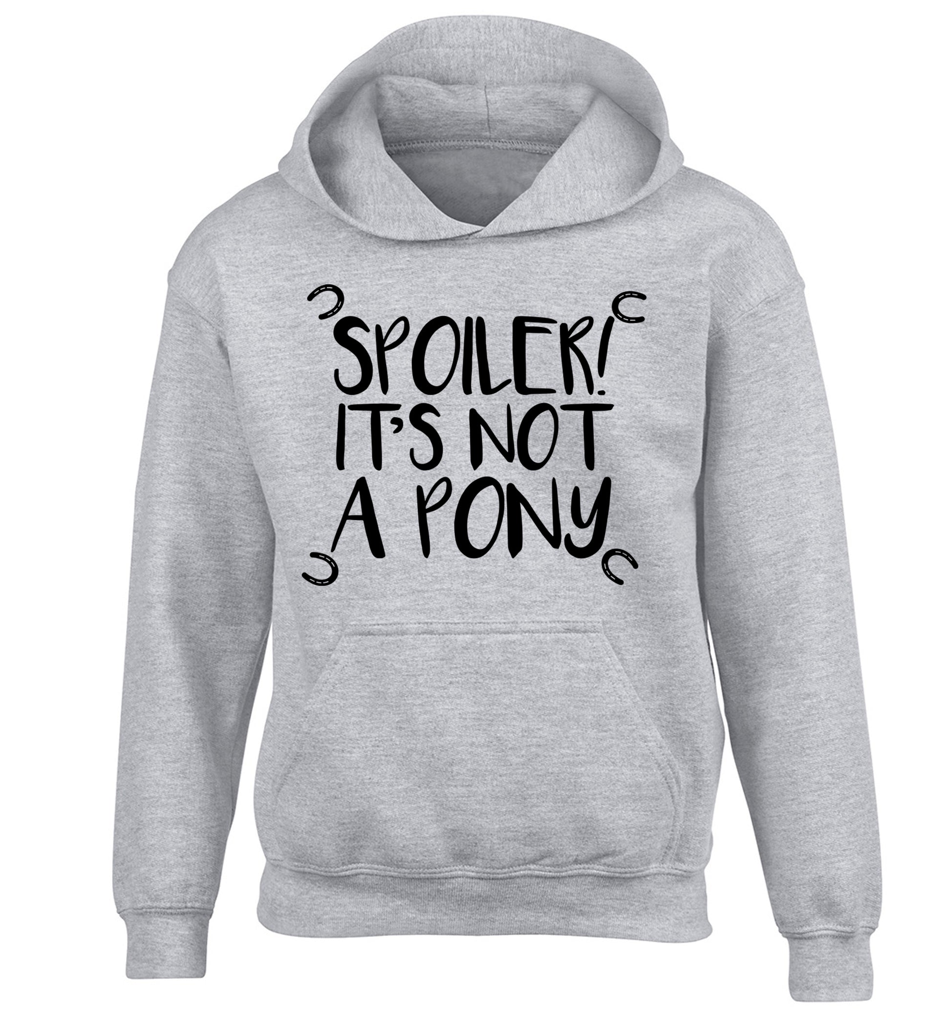 Spoiler it's not a pony children's grey hoodie 12-13 Years