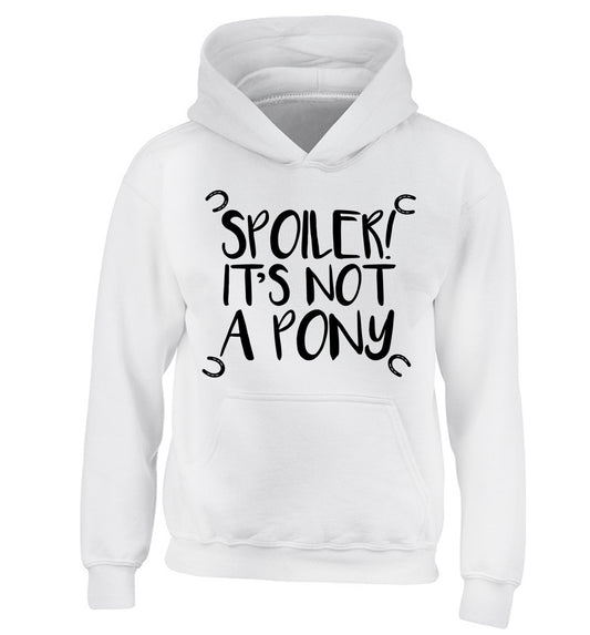 Spoiler it's not a pony children's white hoodie 12-13 Years