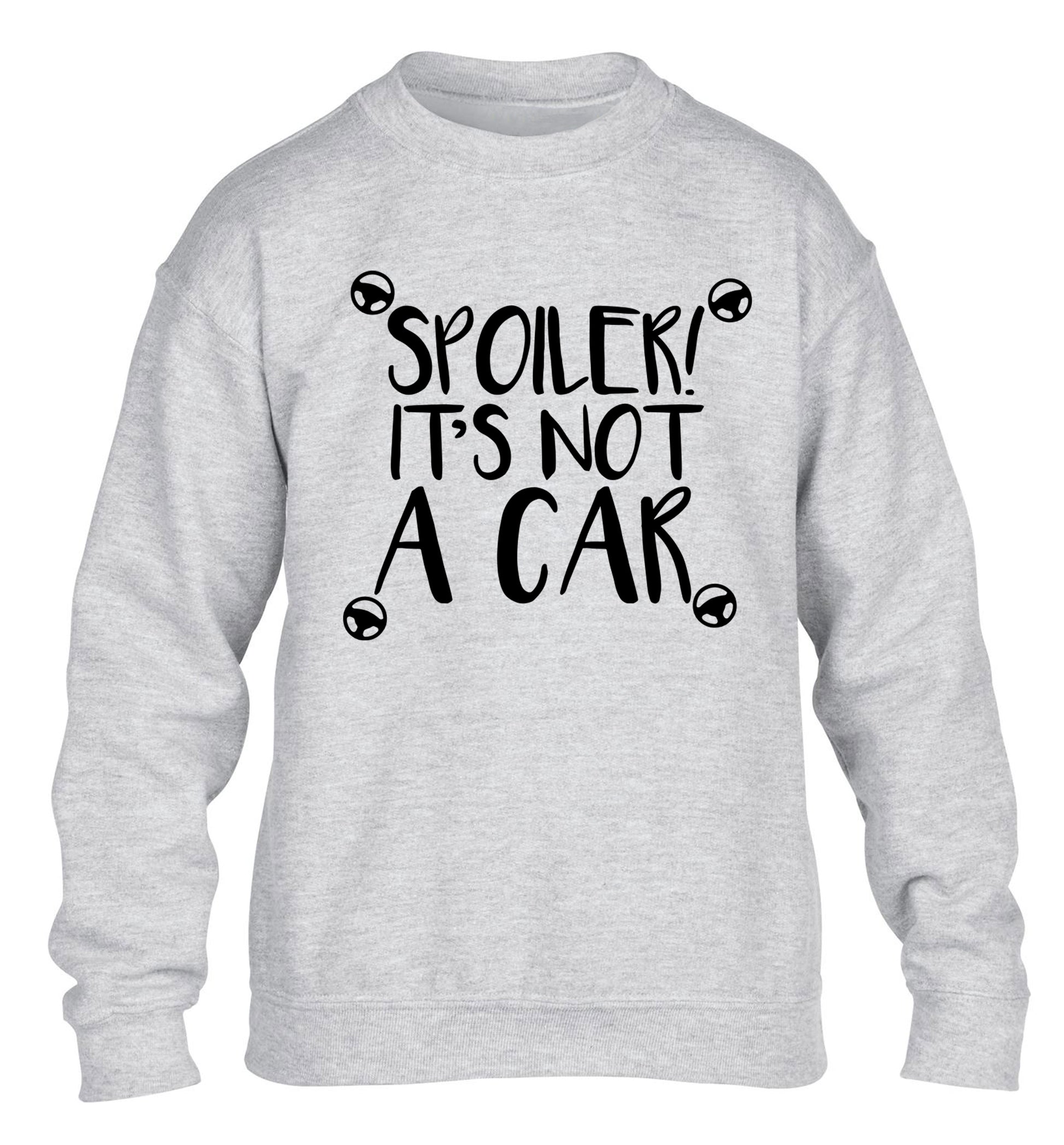 Spoiler it's not a car children's grey sweater 12-13 Years