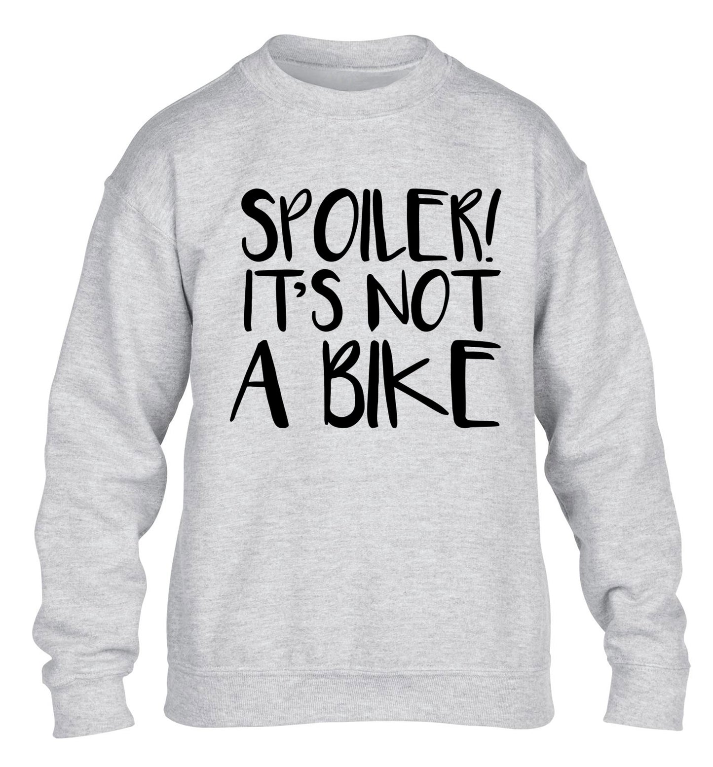 Spoiler it's not a bike children's grey sweater 12-13 Years