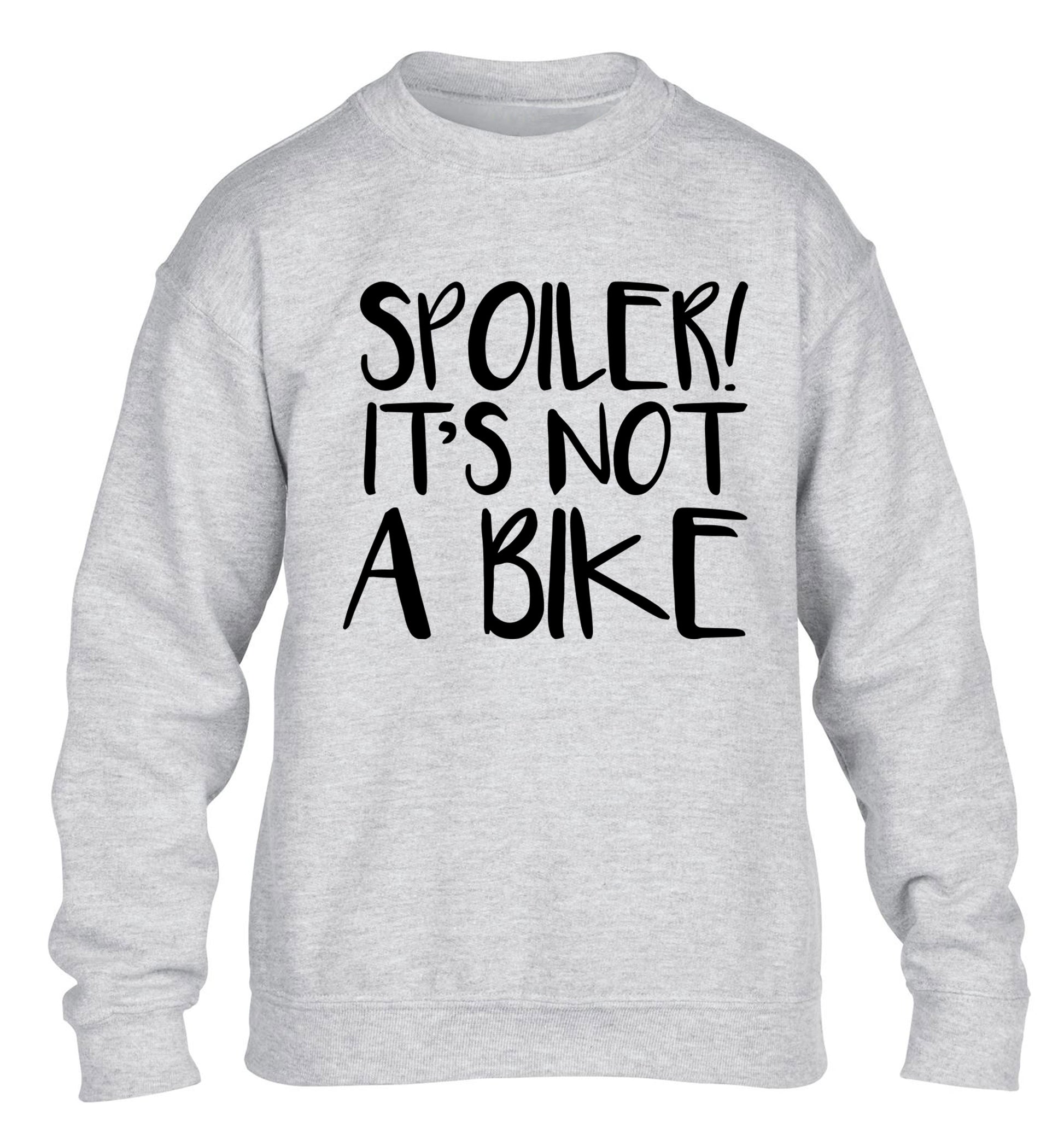 Spoiler it's not a bike children's grey sweater 12-13 Years