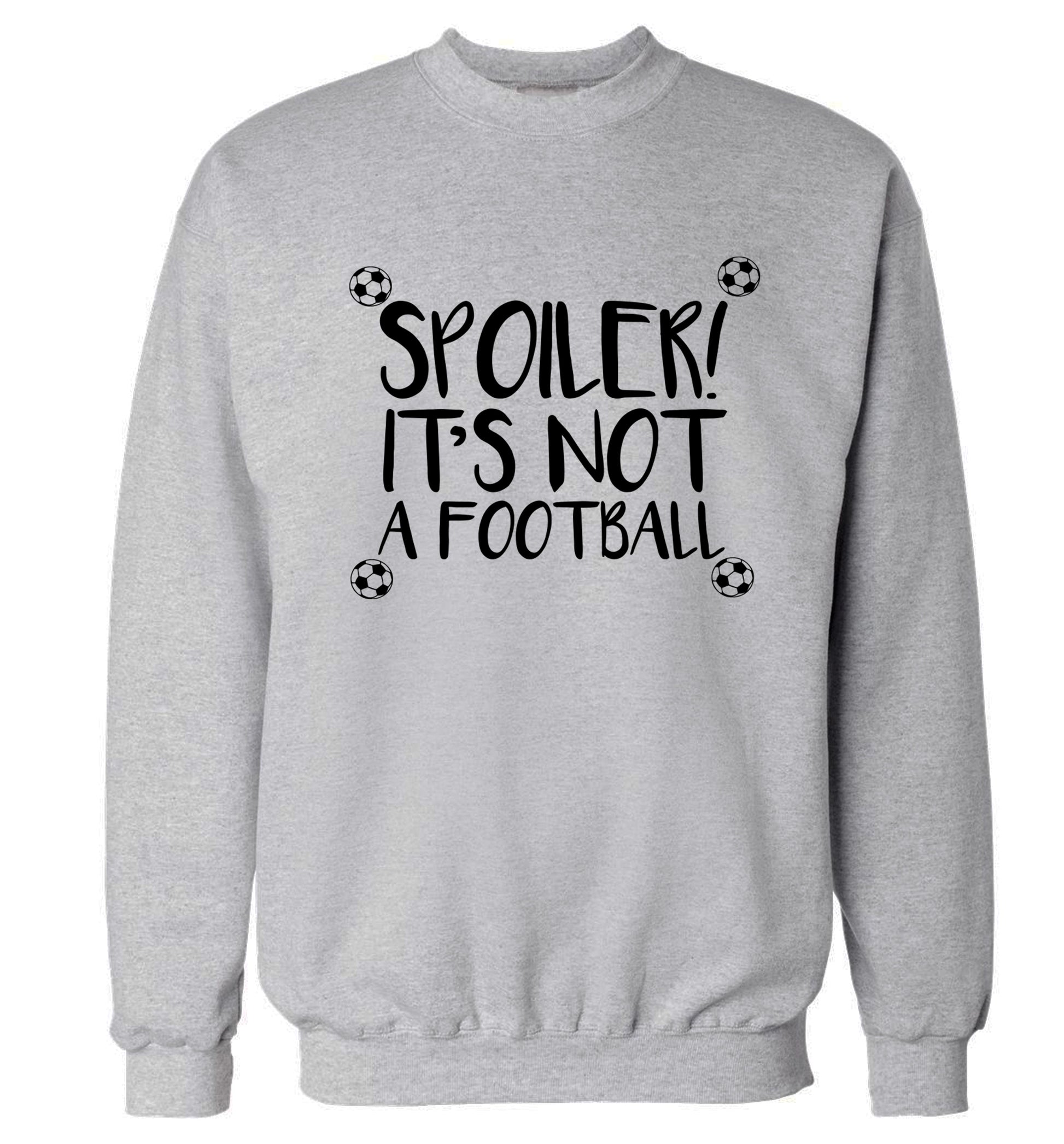 Spoiler it's not a football Adult's unisex grey Sweater 2XL