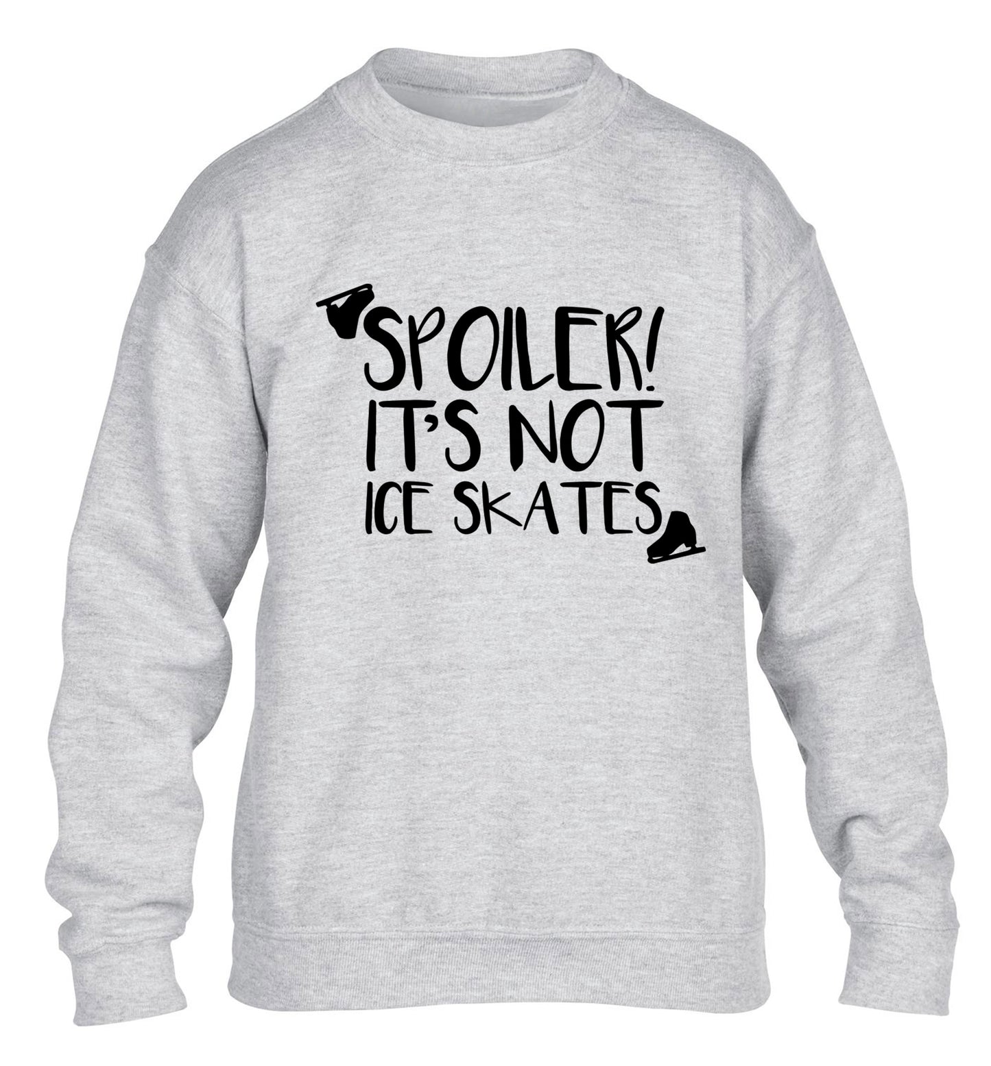 Spoiler it's Not a Pair of Ice Skates children's grey sweater 12-13 Years