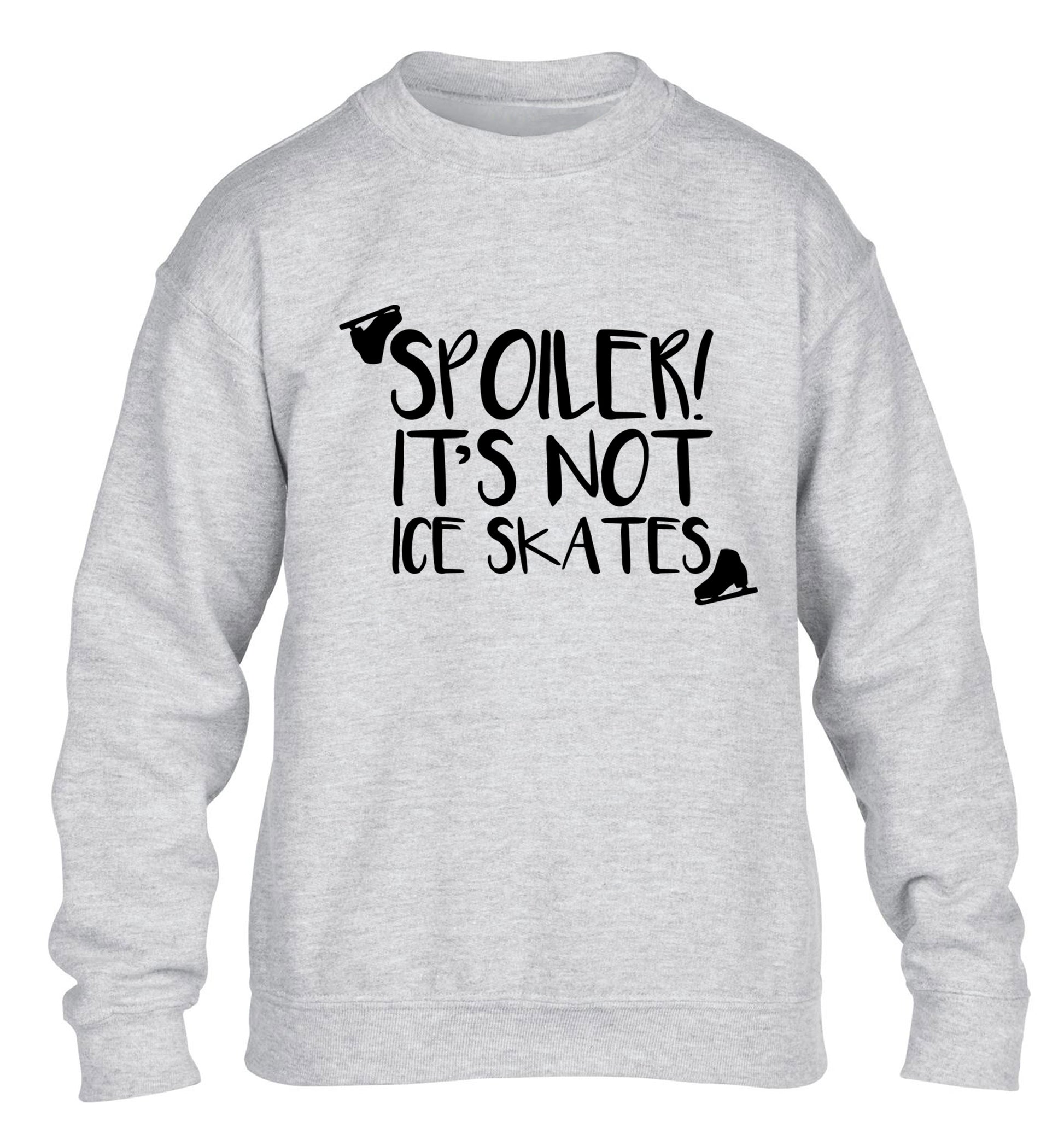 Spoiler it's Not a Pair of Ice Skates children's grey sweater 12-13 Years