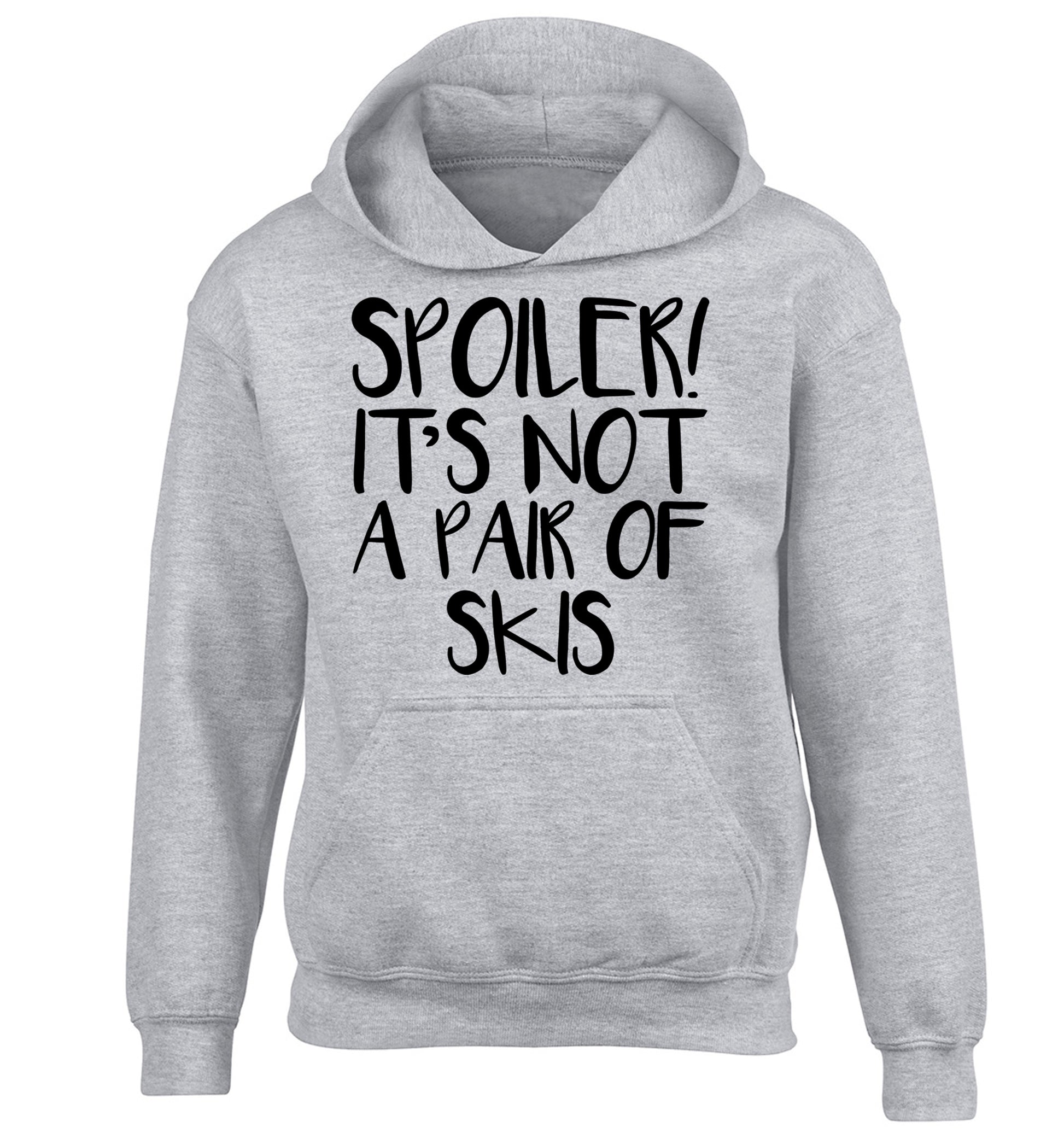 Spoiler it's not a pair of skis children's grey hoodie 12-13 Years