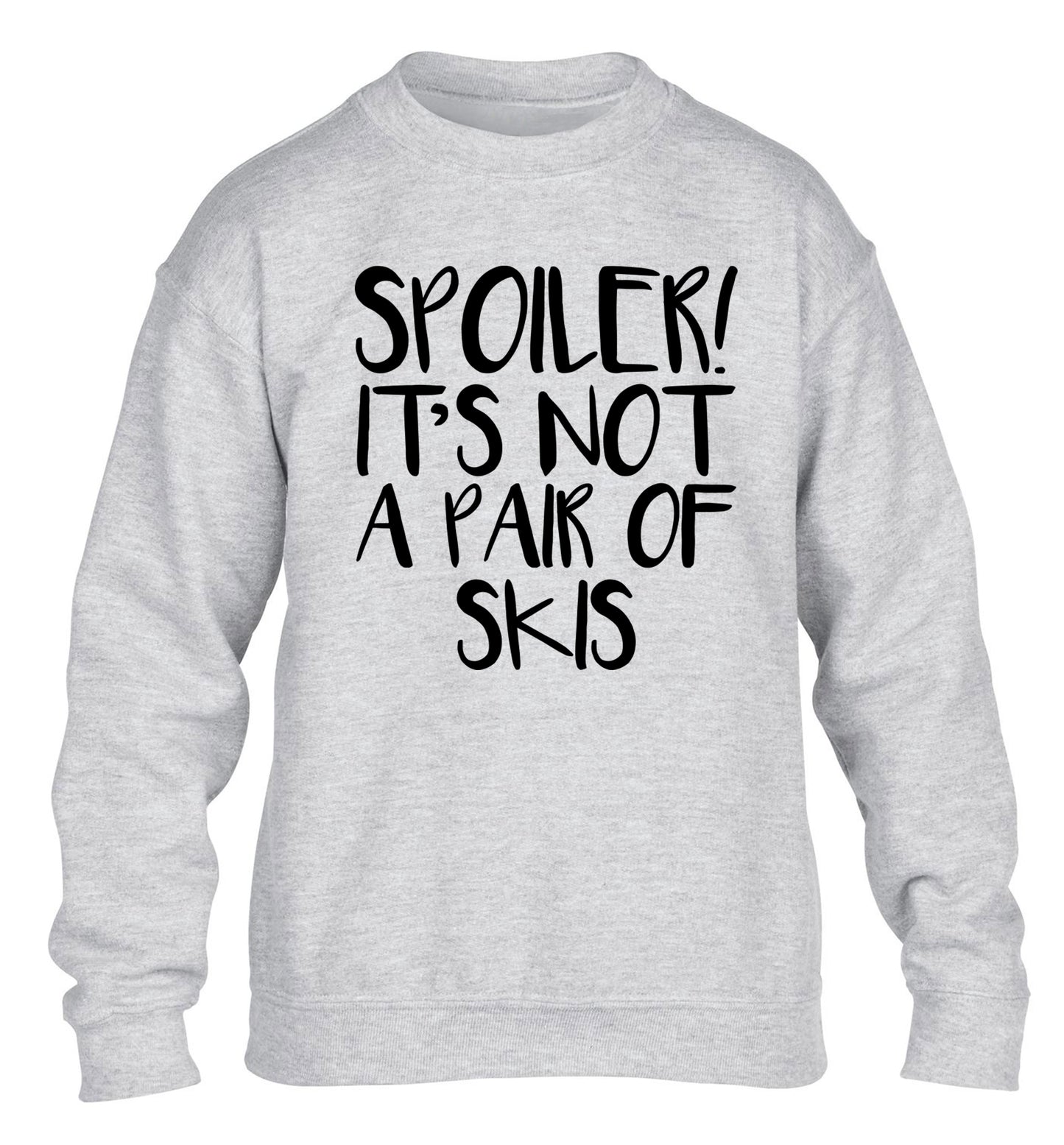 Spoiler it's not a pair of skis children's grey sweater 12-13 Years