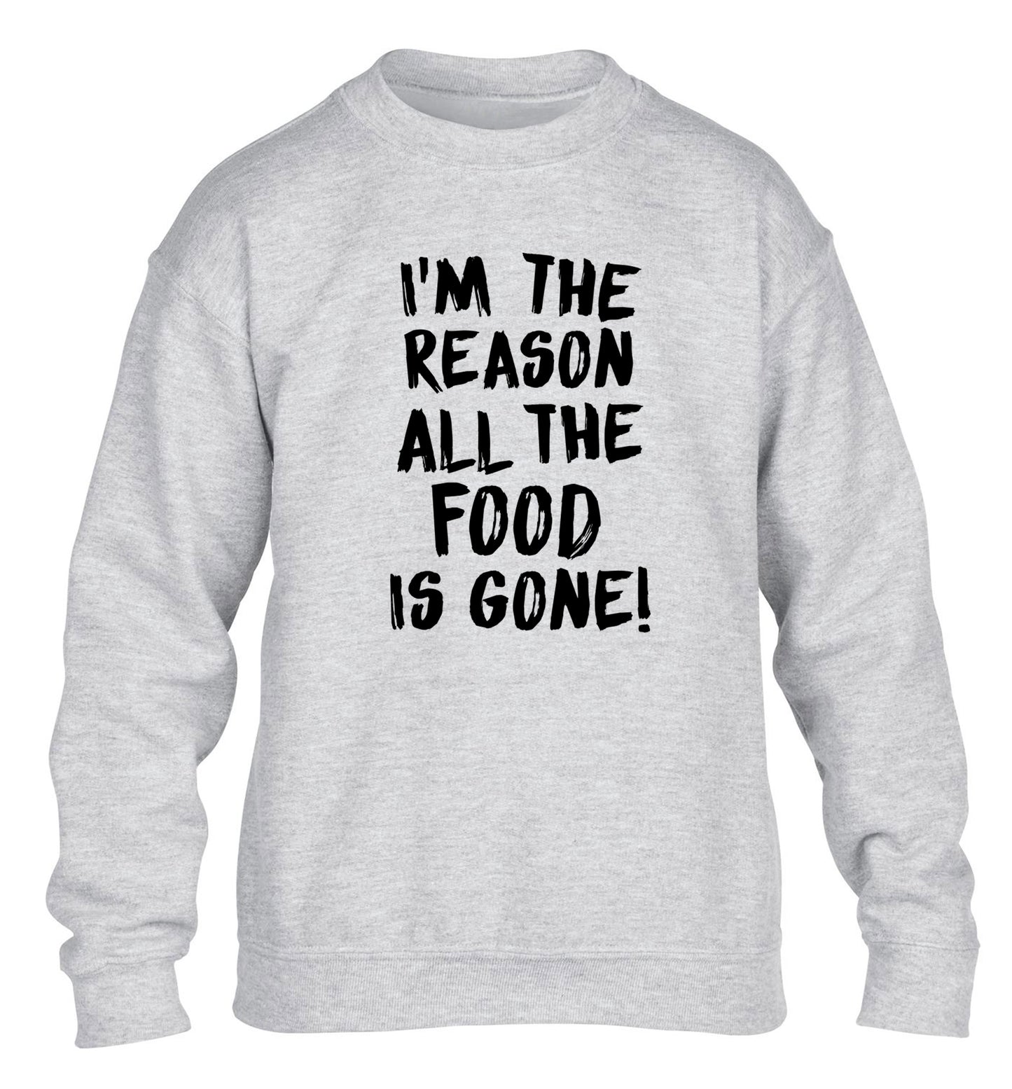 I'm the reason why all the food is gone children's grey sweater 12-13 Years