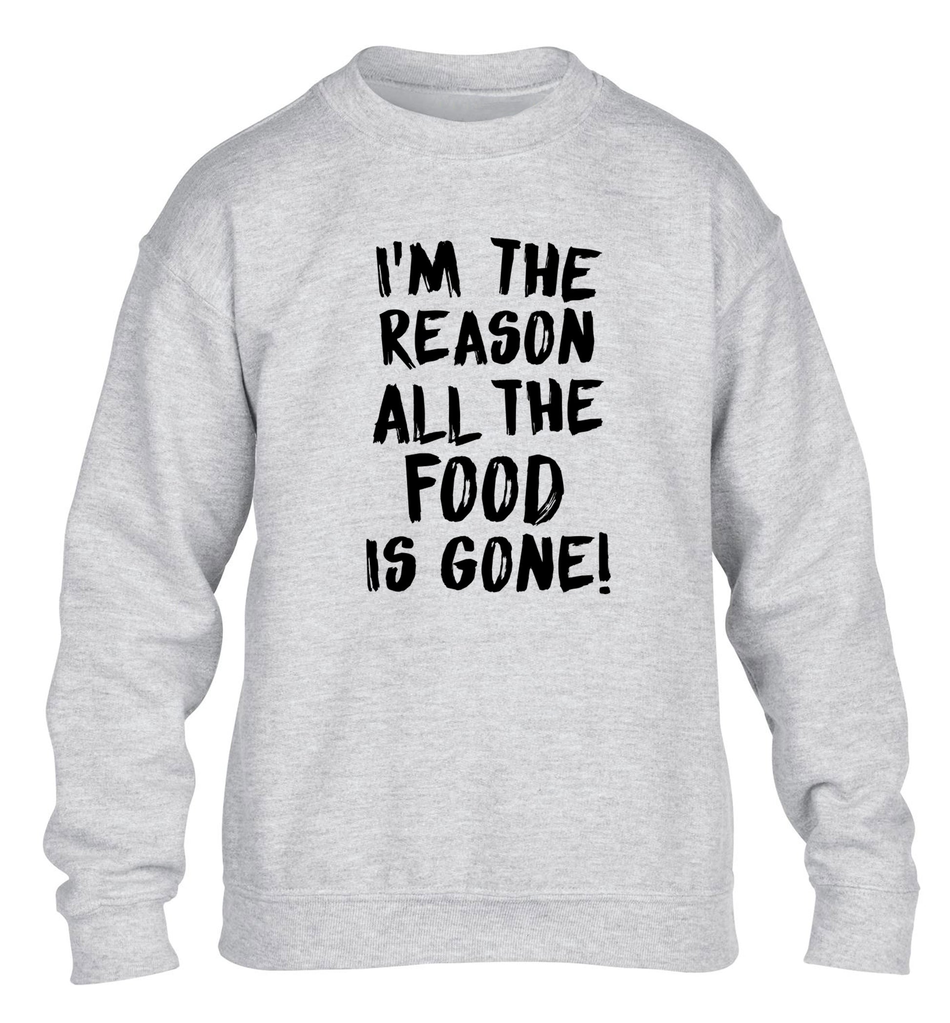 I'm the reason why all the food is gone children's grey sweater 12-13 Years