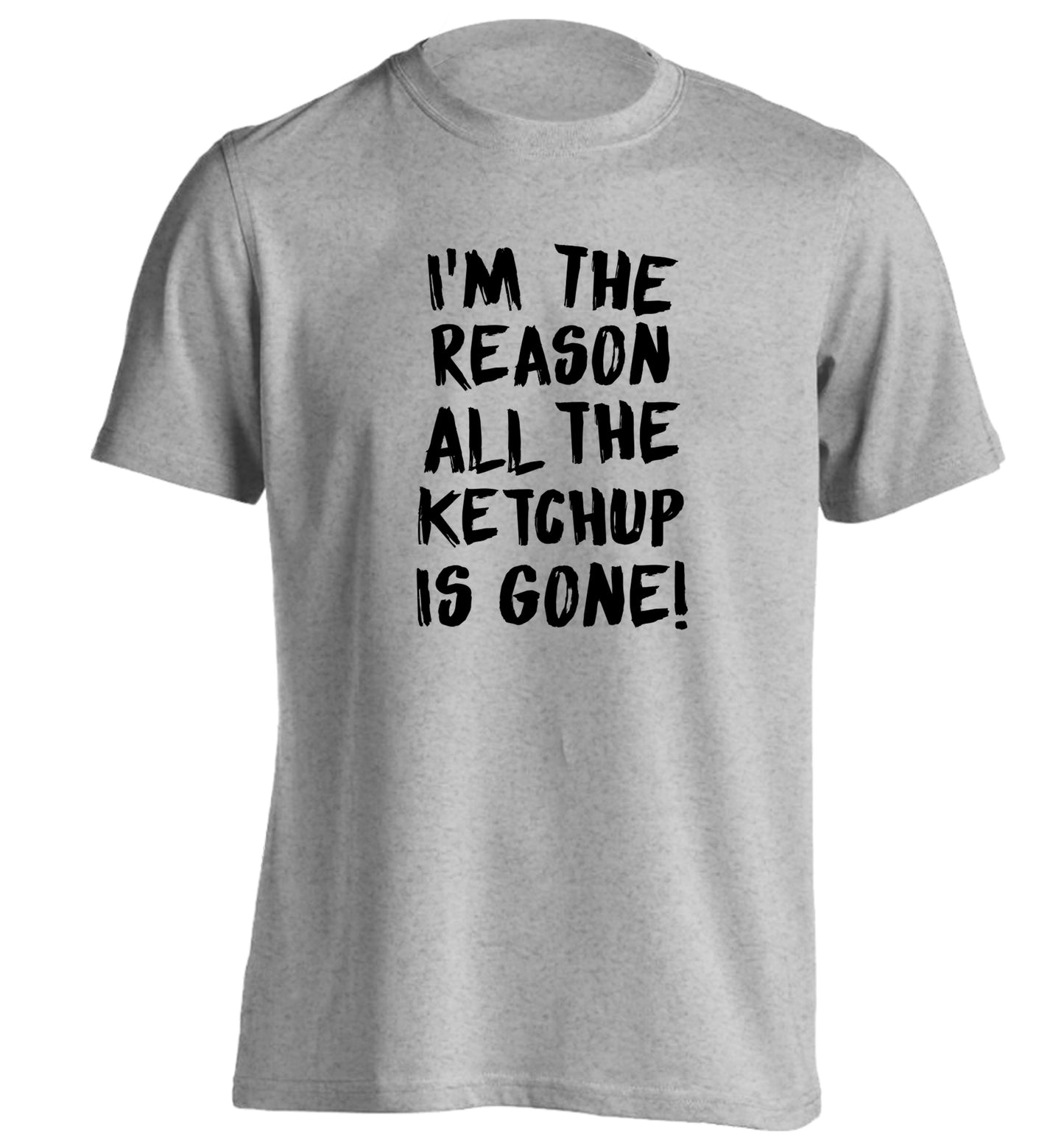 I'm the reason why all the ketchup is gone adults unisex grey Tshirt 2XL