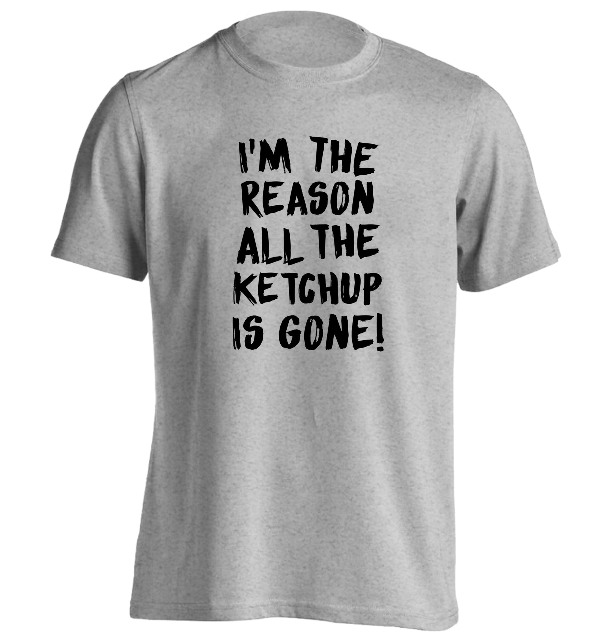 I'm the reason why all the ketchup is gone adults unisex grey Tshirt 2XL