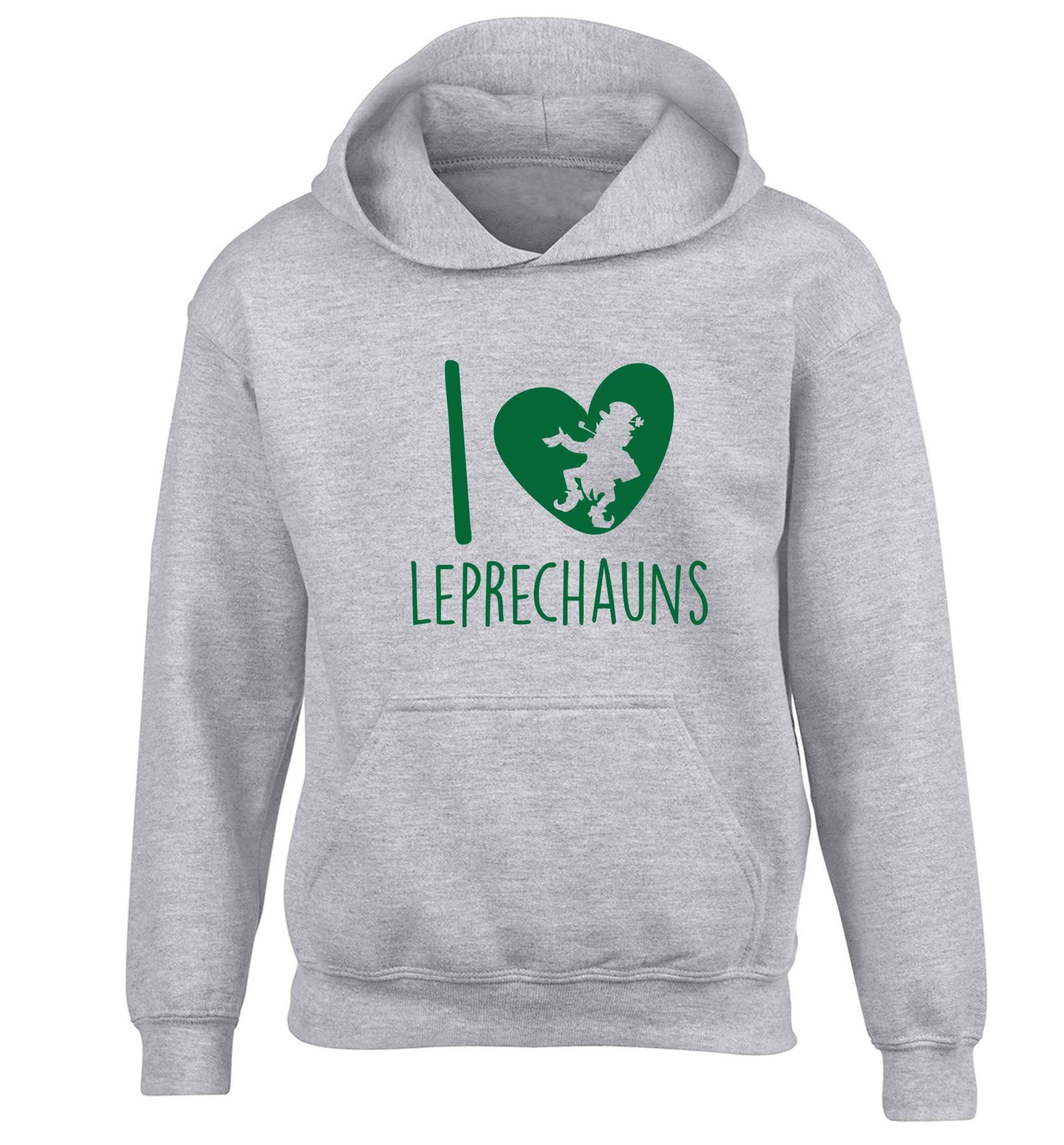 I love leprechauns children's grey hoodie 12-13 Years