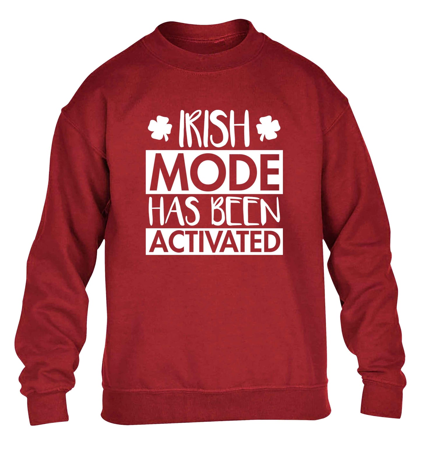 Irish mode has been activated children's grey sweater 12-13 Years